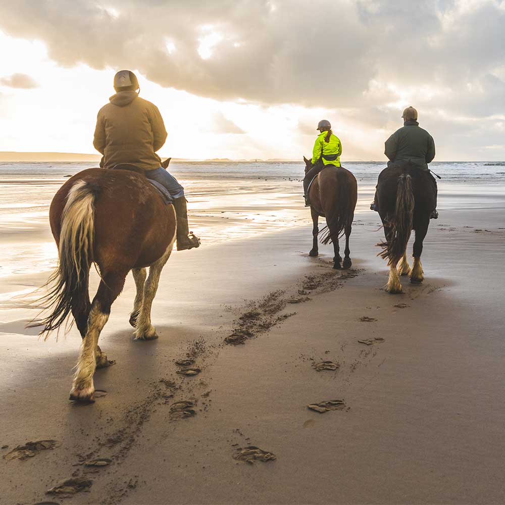 urlaub-mit-pferd-kachel urlaub-mit-pferd-kachel