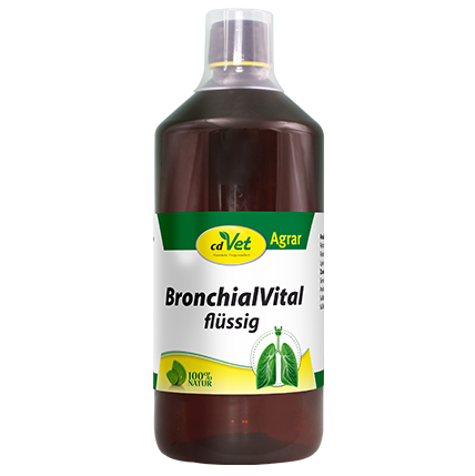 BronchialVital flüssig 1 L BronchialVital flüssig 1 L