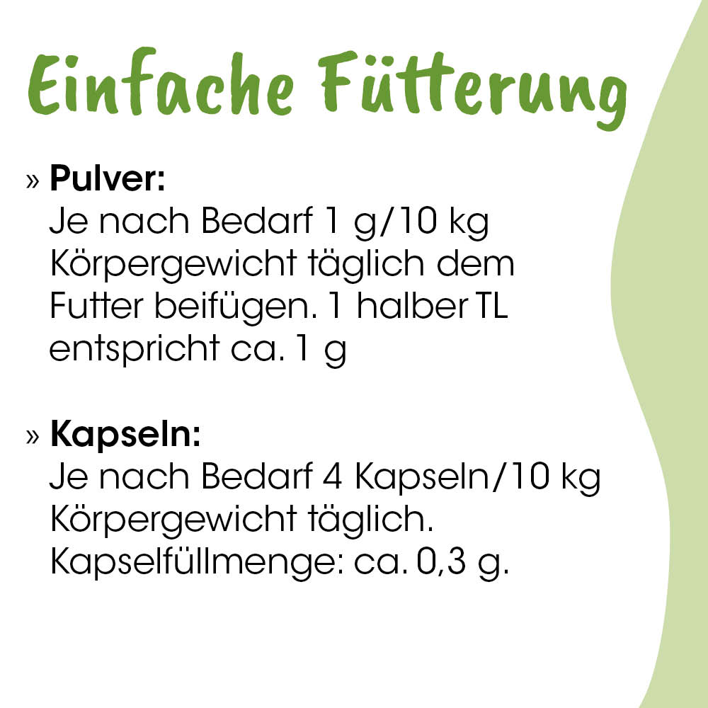 Pulver, Kapseln, Kapseln Fütterung, Nahrungsergänzung, Tierfutter