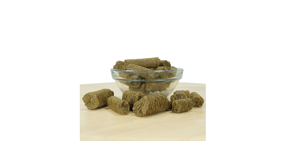 Cannabis Snack, Braune Zylinderstücke, glutenfrei?, Haustierleckerlis?, Schale mit Bissen