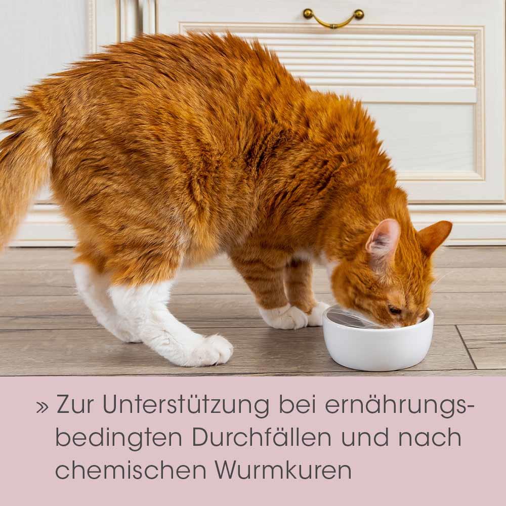 feliTATZ DarmRegulanz 50 g