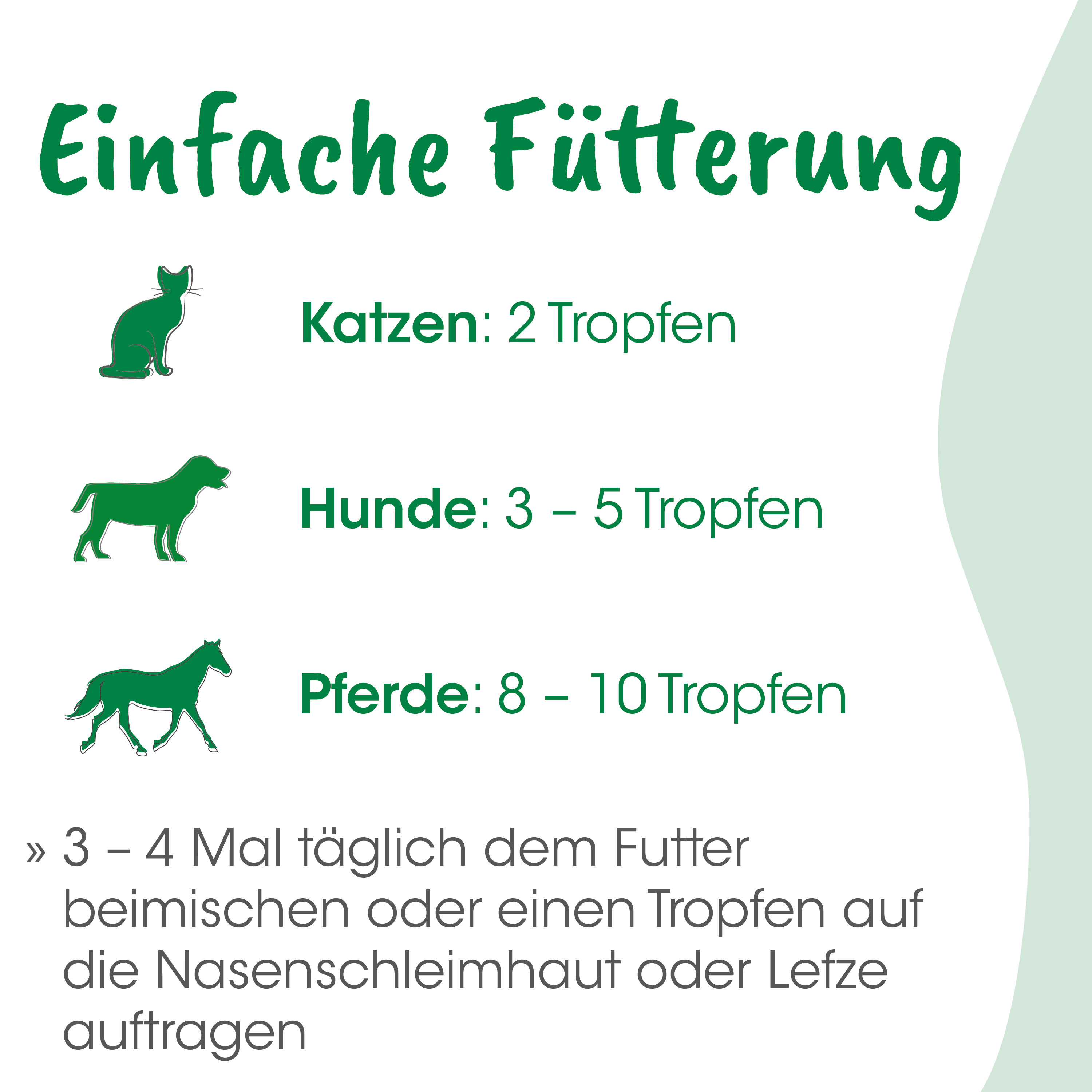 Katzenfutter, Futterempfehlung, Beutel, Tiernahrung, Tipps