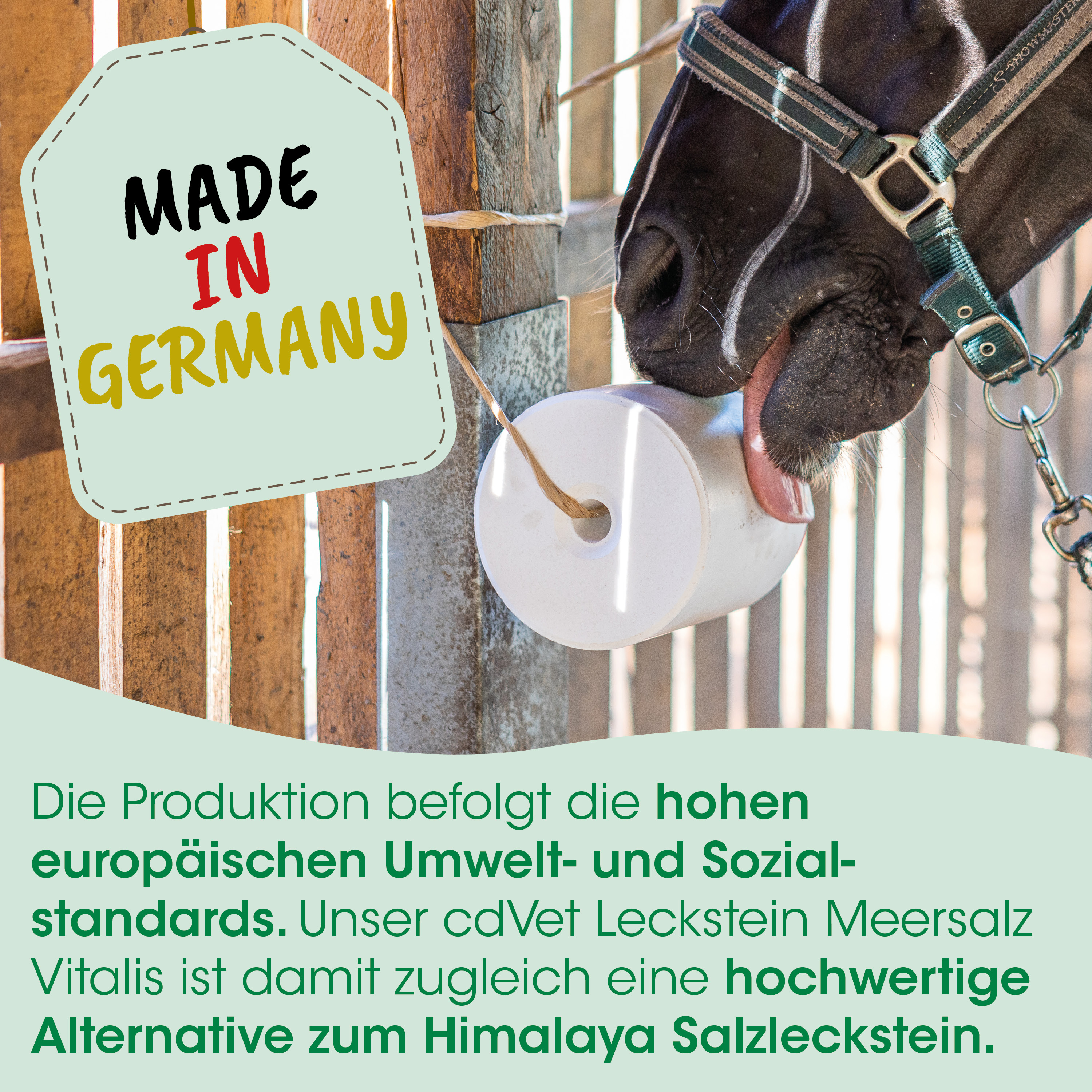 pferd, halfter, futter, salzlecke, made in germany