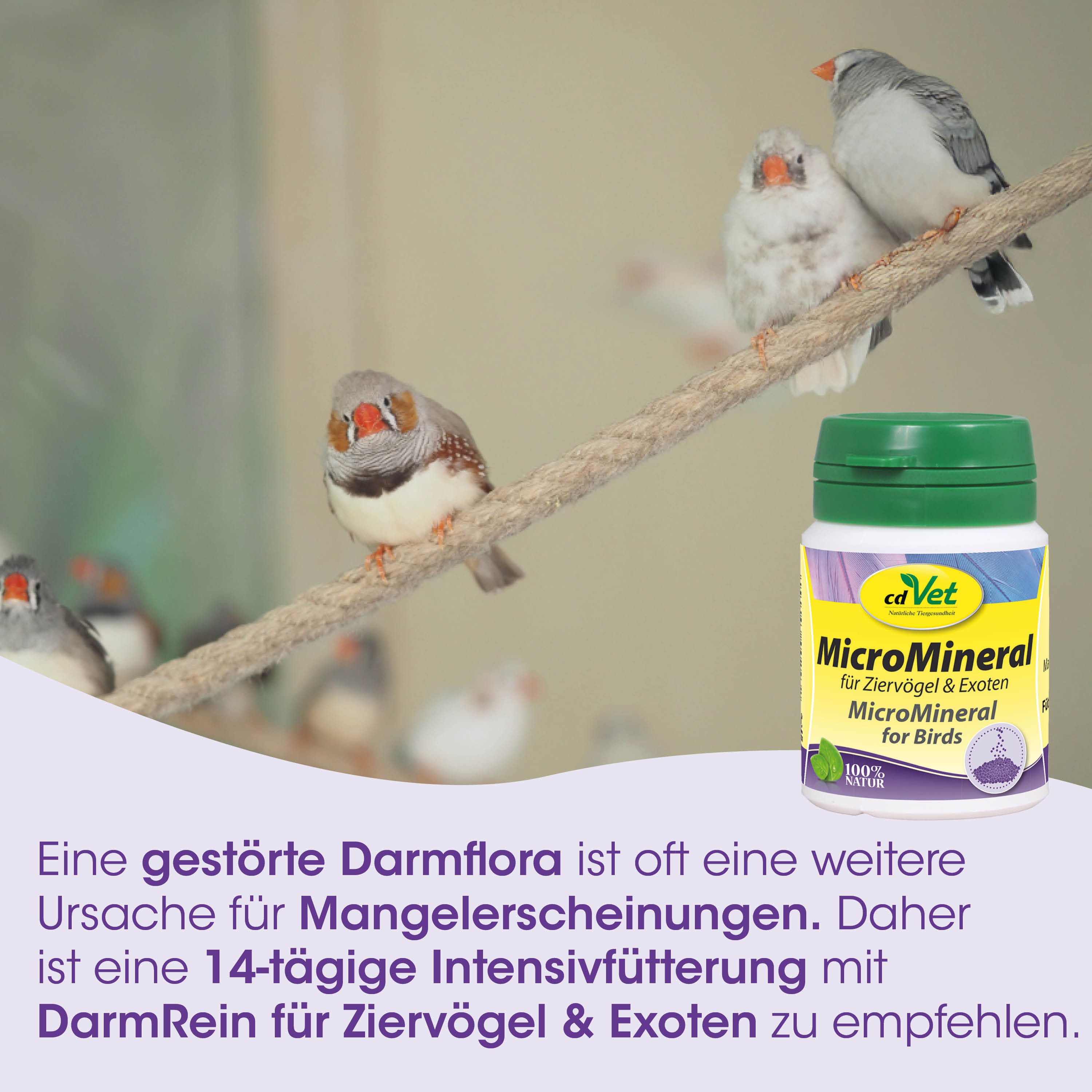 Vögel, Papageien, Kletterseil, Nahrungsergänzung, Behälter Flasche
