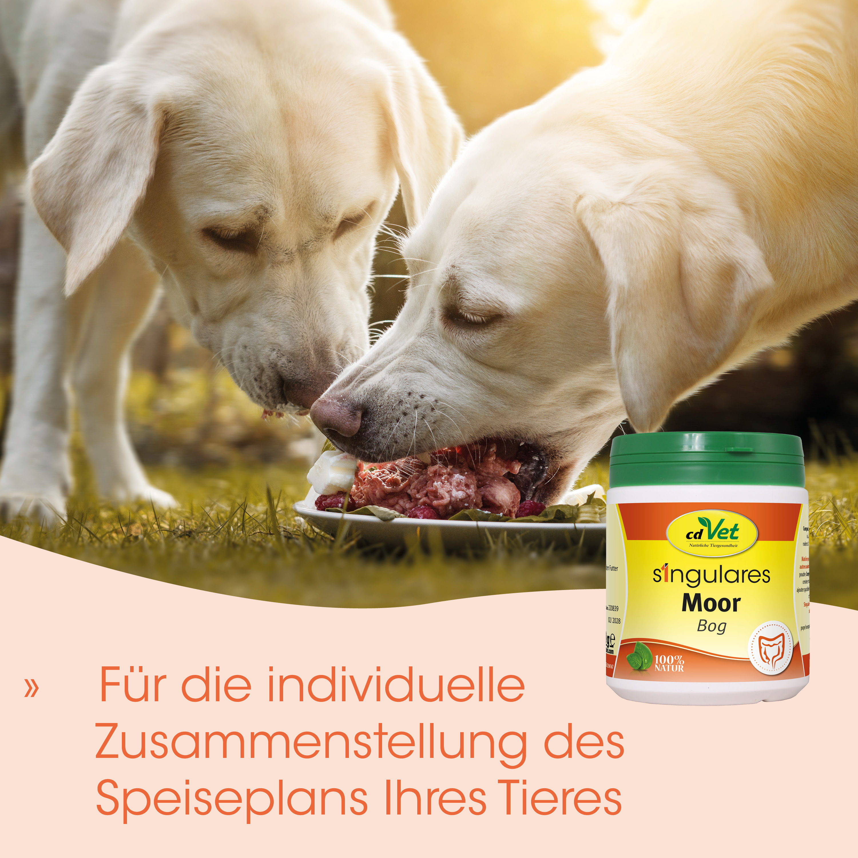 Hund, Hundekorb, Hundefutter, Gelb Labrador, Tierprodukt