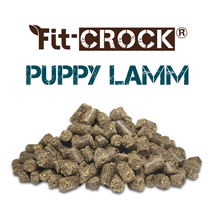 Fit-Crock Puppy Lamm