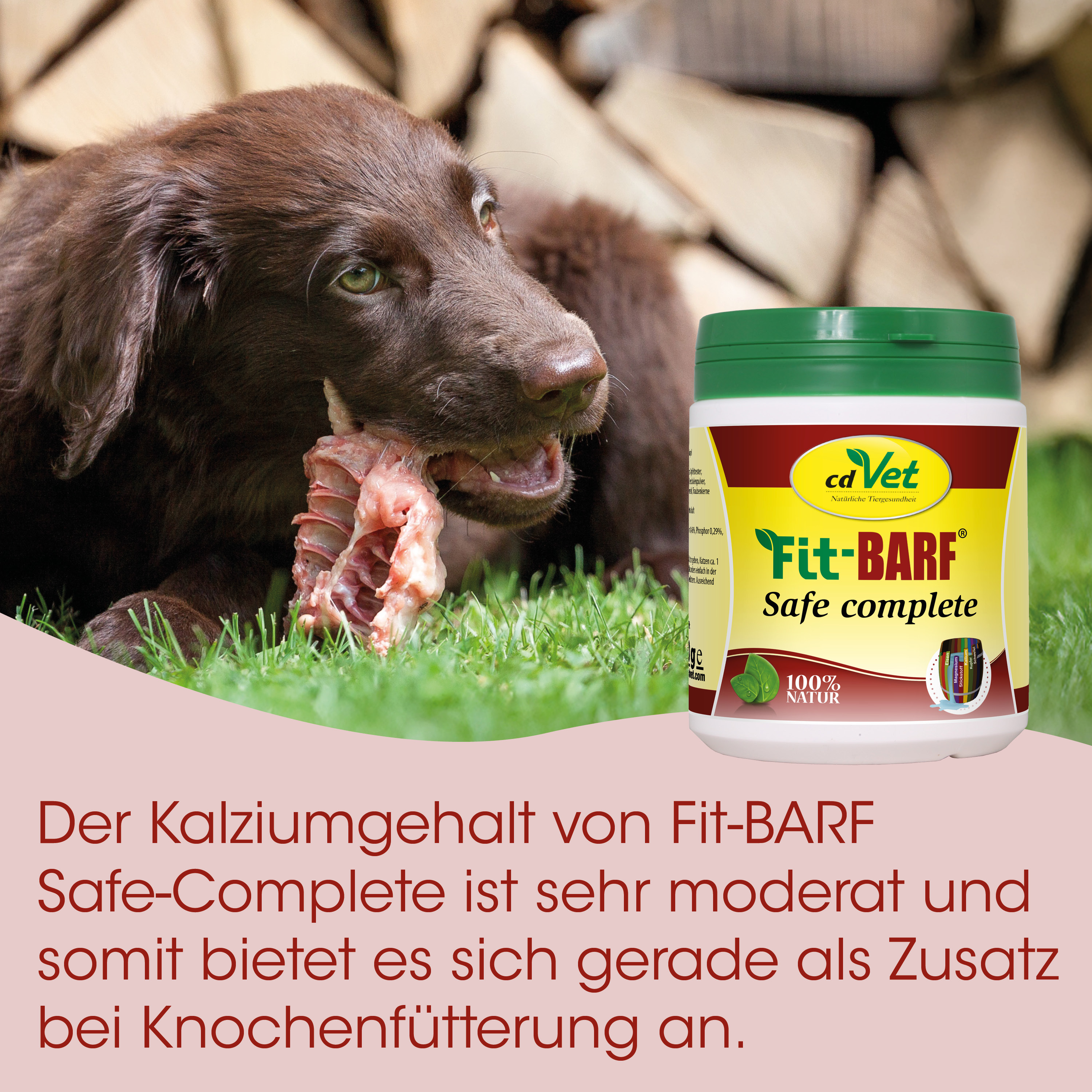 Hund, Nassfutter, Knochen, Grün, Dose