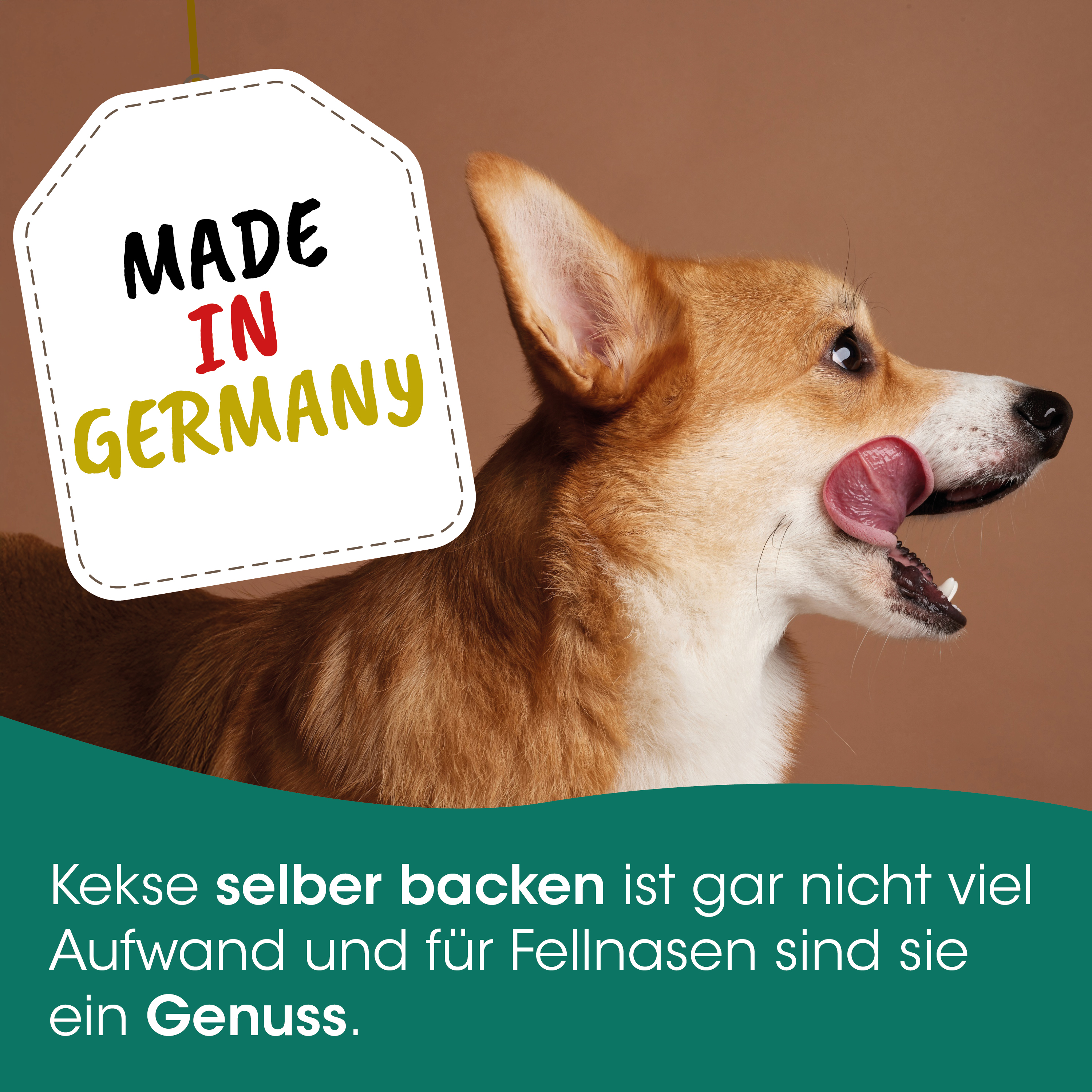 Hund, Köterchen, Tierisch, Kekse, Selbstbacken