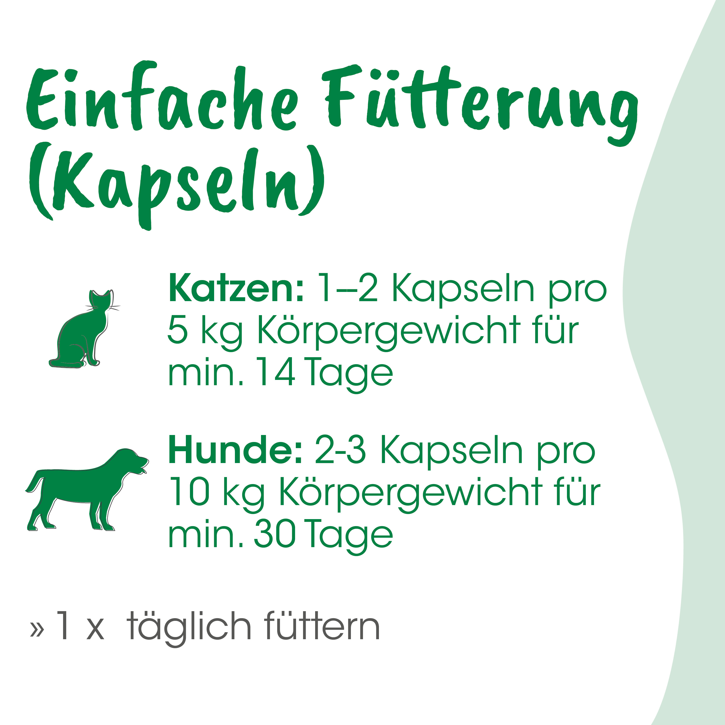 Katzenfutter, Katzen, Kapseln, Futterdosierung, Tiernahrung