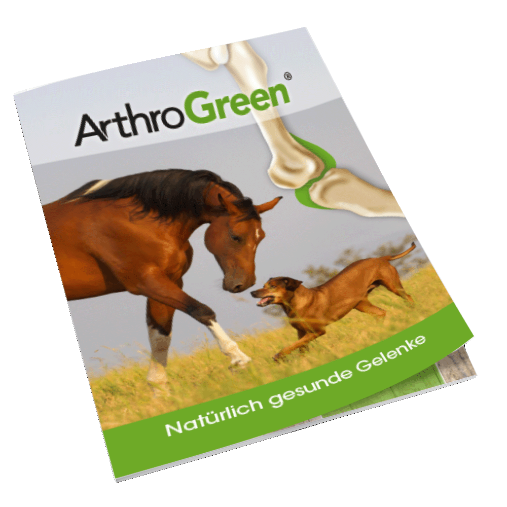 Broschüre Gelenke, DIN A6, 24-seitig, 90 g Bilderdruck glänzend Broschüre Gelenke, DIN A6, 24-seitig, 90 g Bilderdruck glänzend