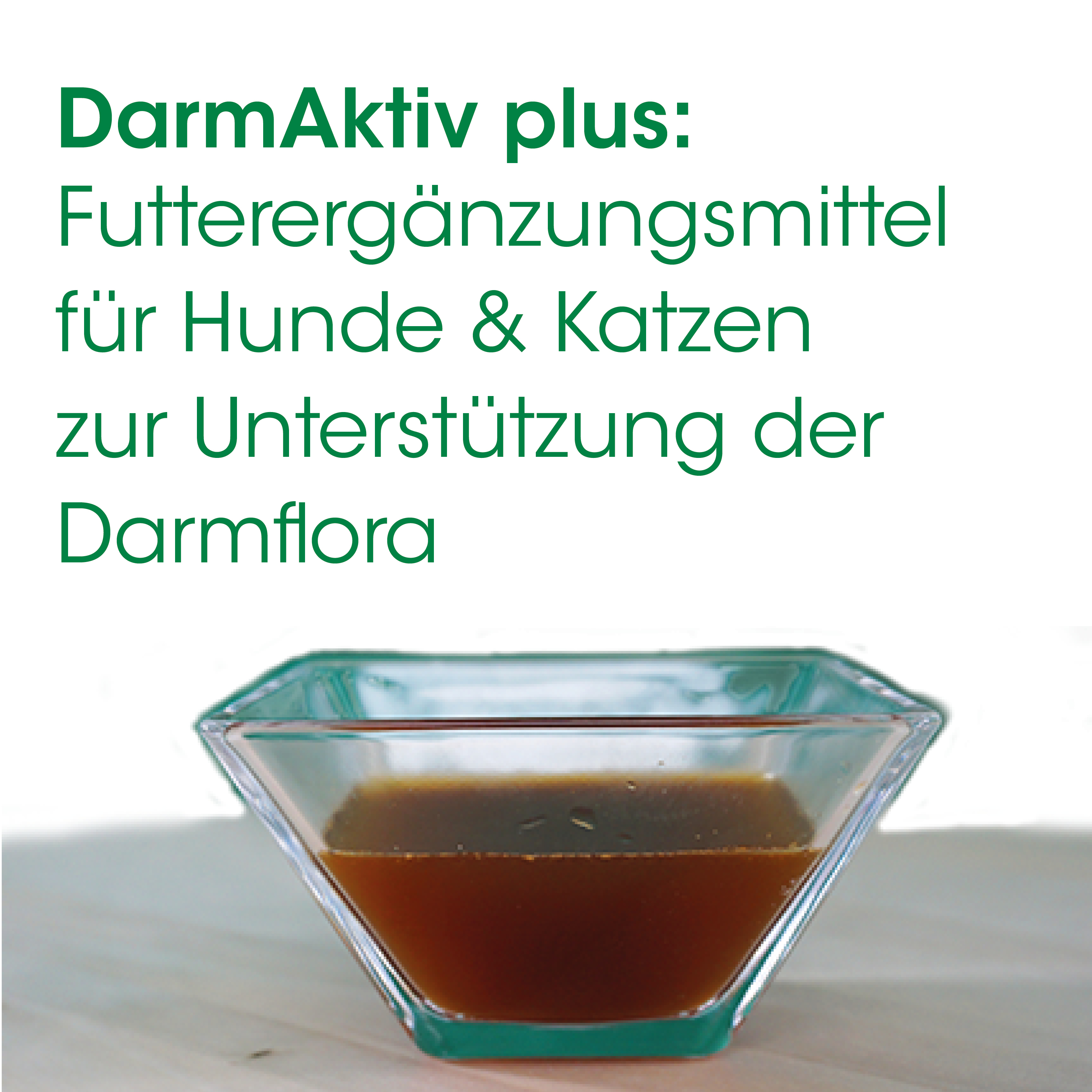 Hundefutter Zusatz, braune Flüssigkeit,  quadratischer Teller, Keramikschale?