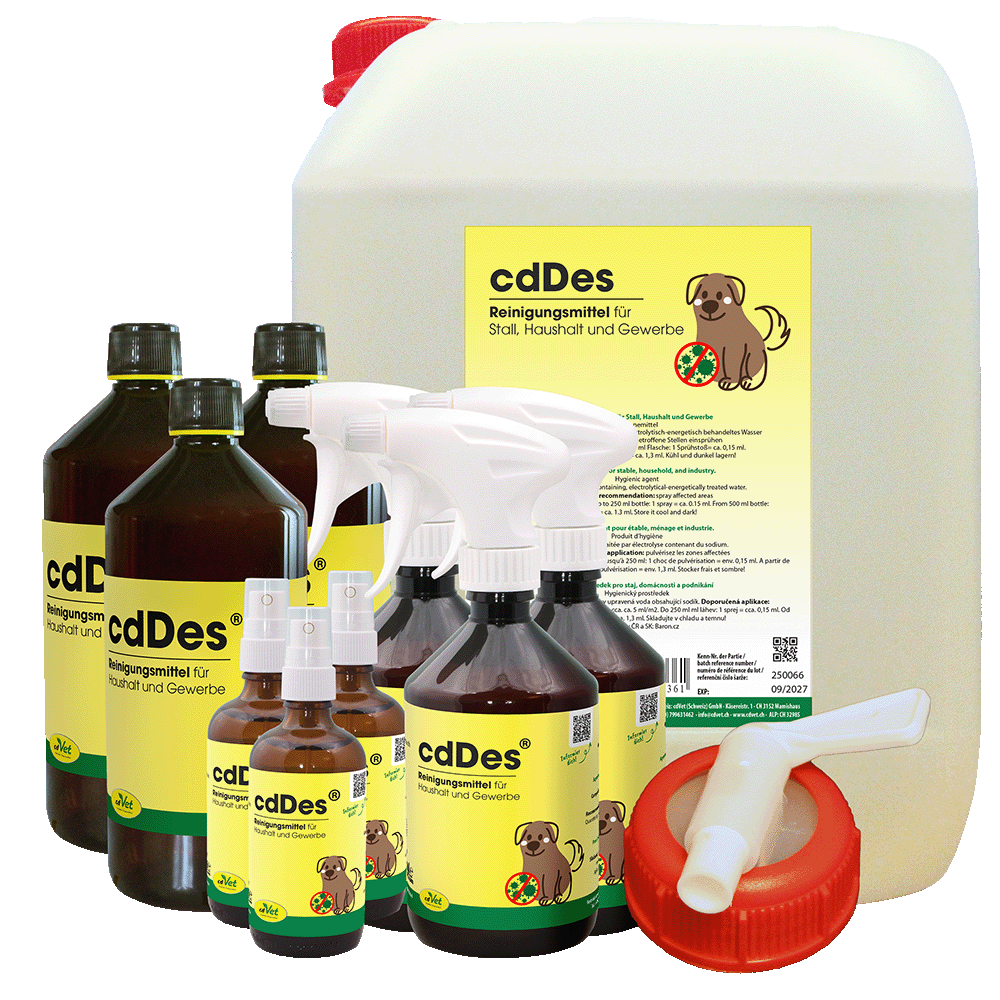 cdDes Gastro- & Gewerbe-Set Essen, Würzen, Sirup
