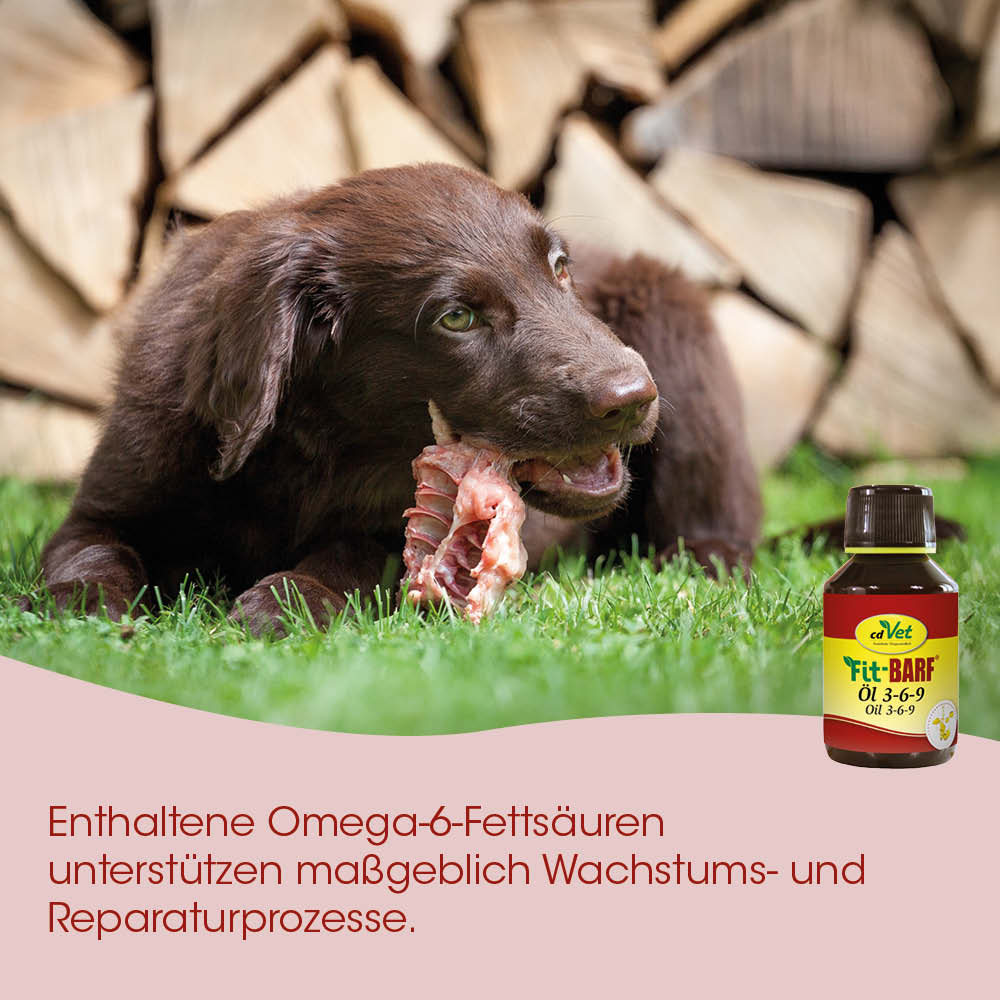 Hund, Futter, Öl, Omega-3, Tierpfleges Produkt