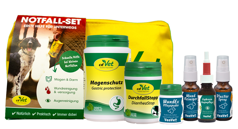 Notfall-Set für unterwegs