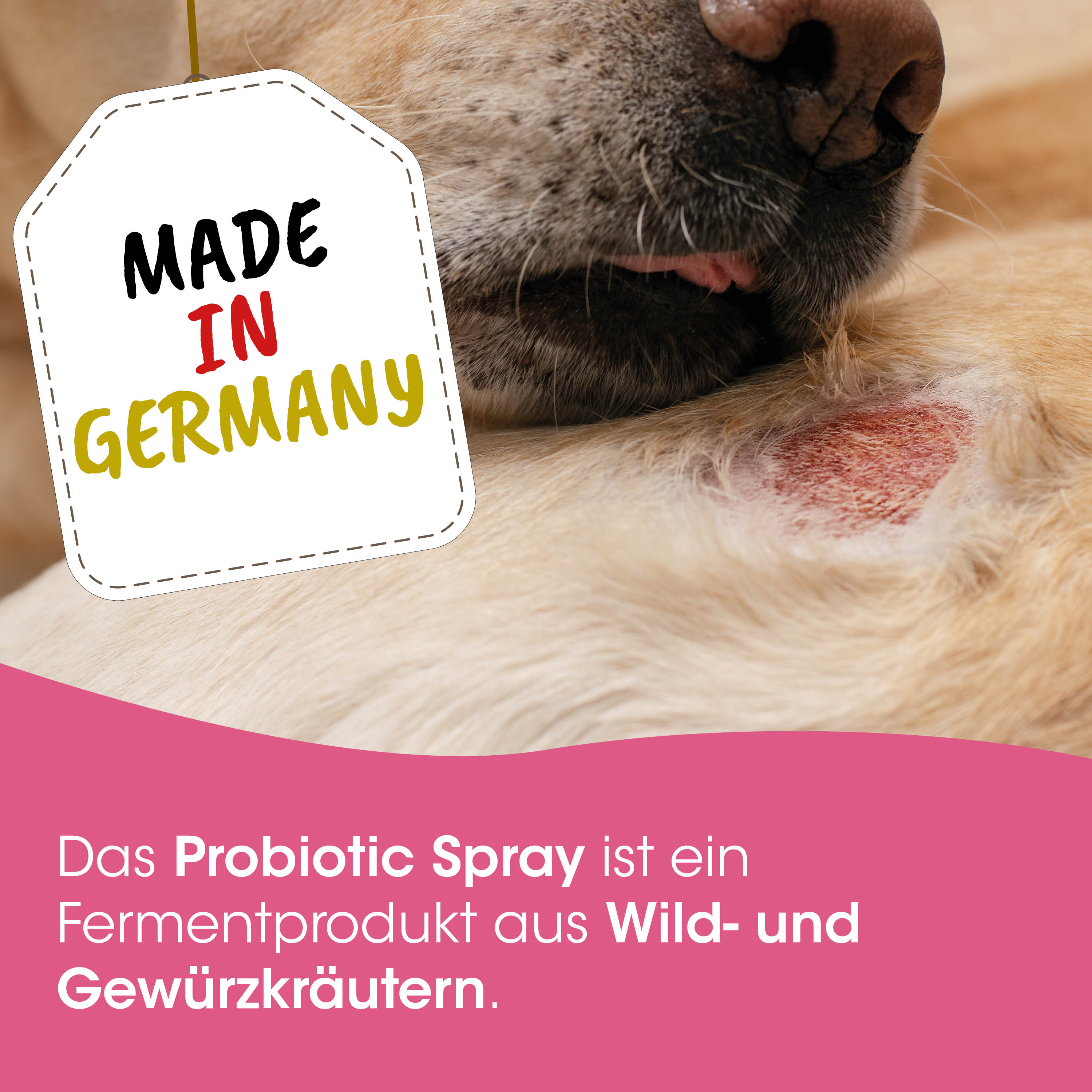 hund, hautveränderung, rote stelle, probiotischer spray, made in germany, Hund, Wunde, Hautverletzung, Probiotisches Spray, Fermentprodukt
