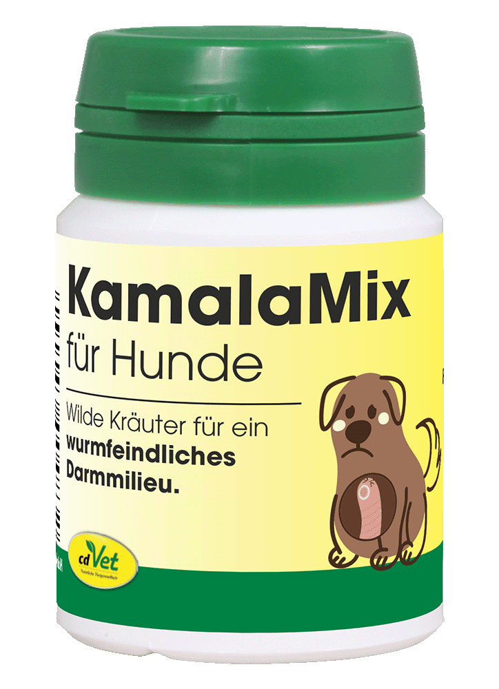 KamalaMix Kräuterig, Kräuter, Pflanze