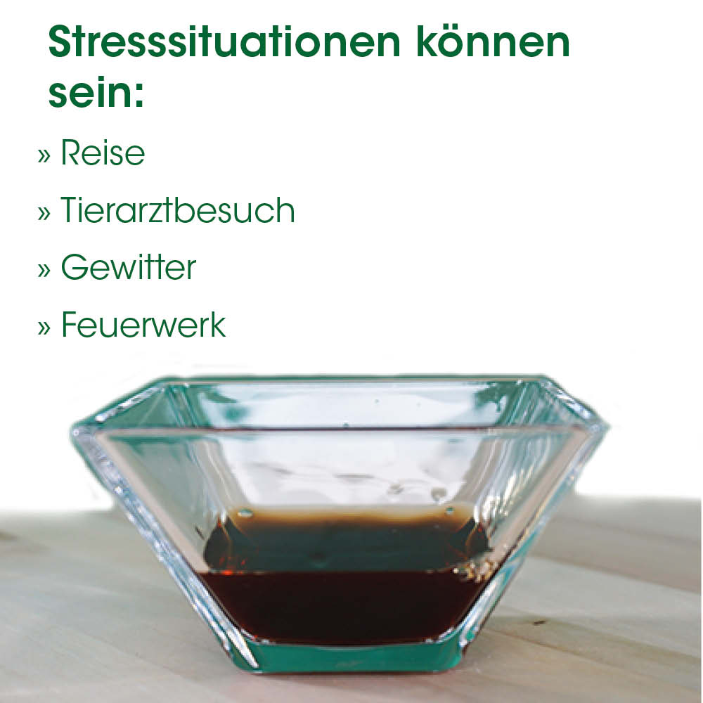 glasbow, kaffee, dessert, transparent, schale
