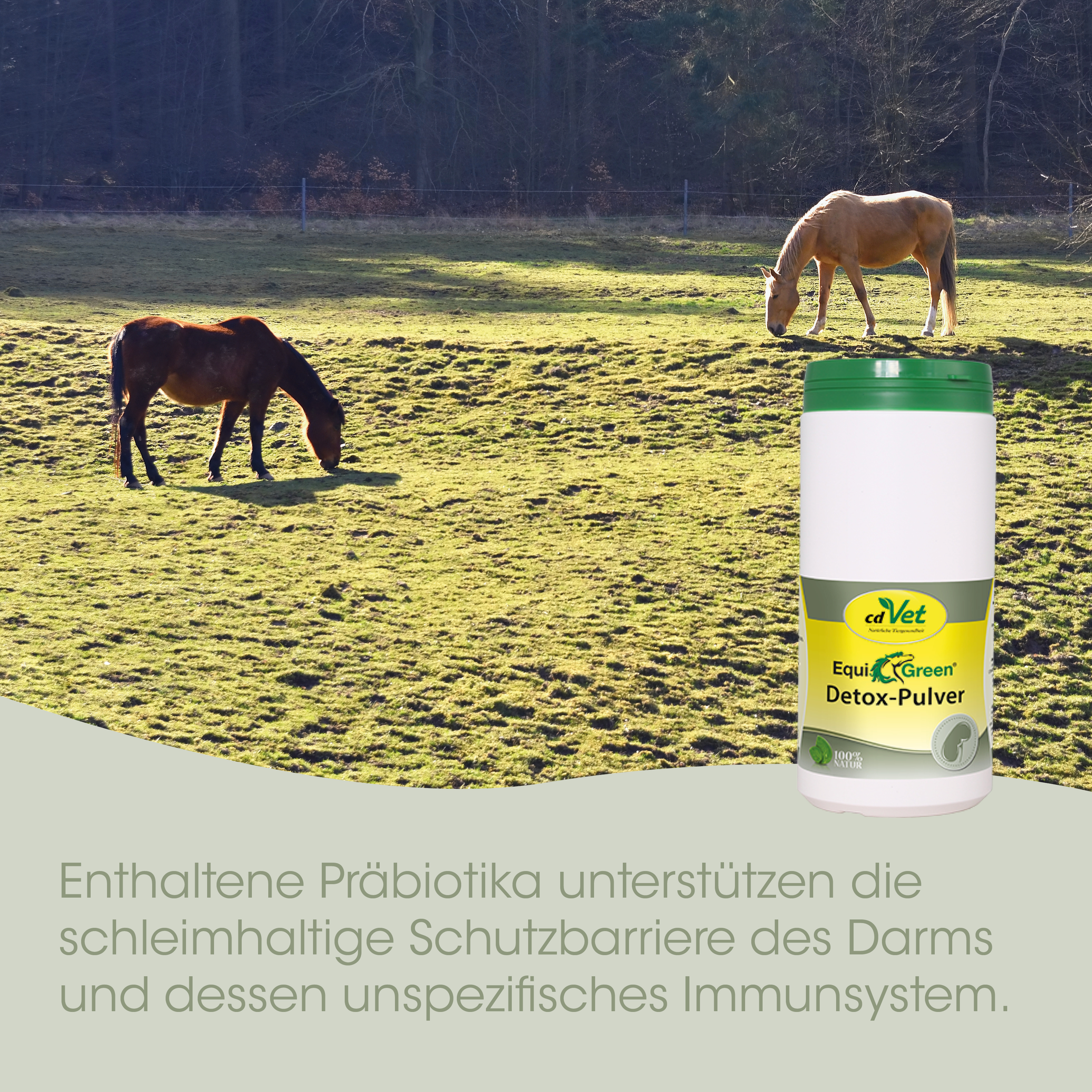 EquiGreen Detox-Pulver 800 g