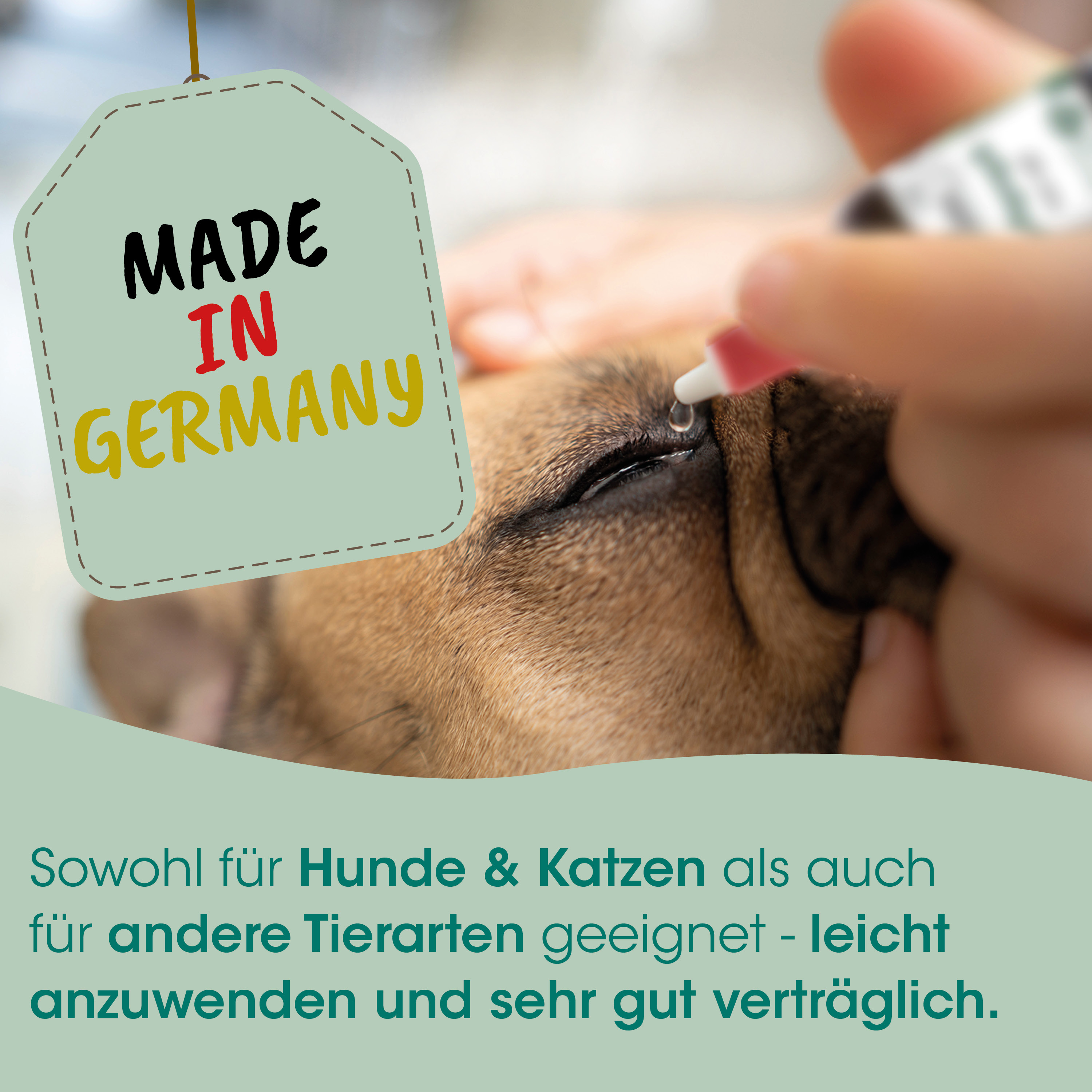 Dog eye drop, Augentropfen, Tierpflege, Hergestellt in Deutschland, Tierarztbedarf