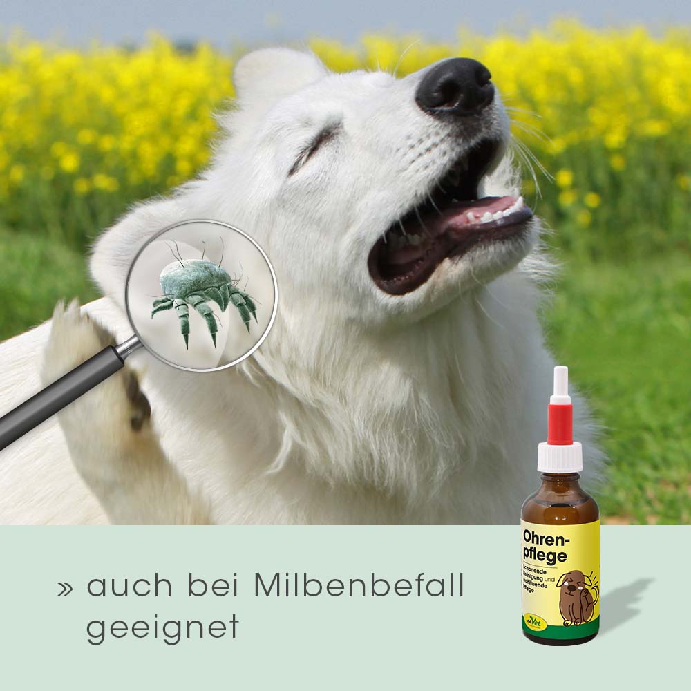 Ohrenpflege 20ml