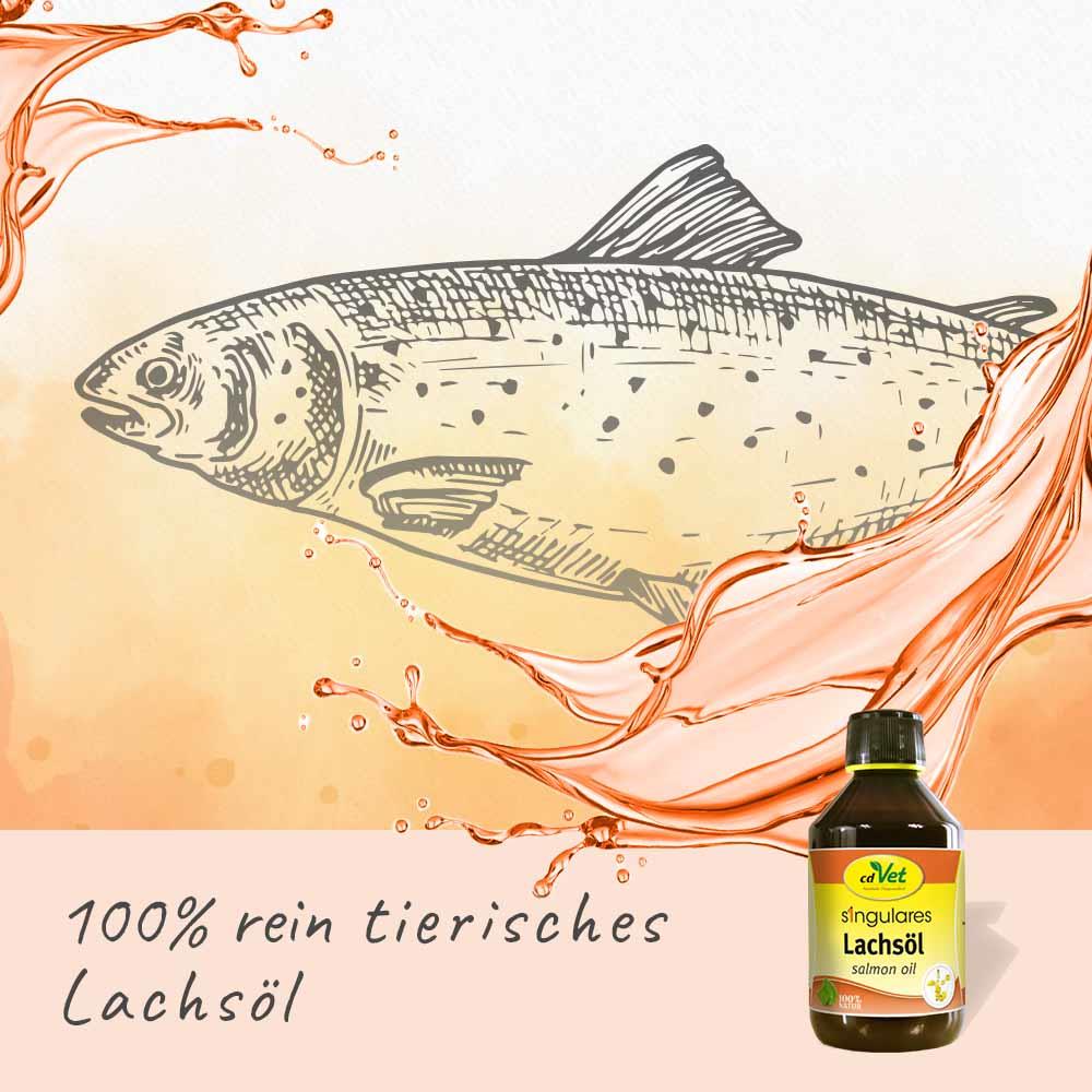 Singulares Lachsöl 2,5 L