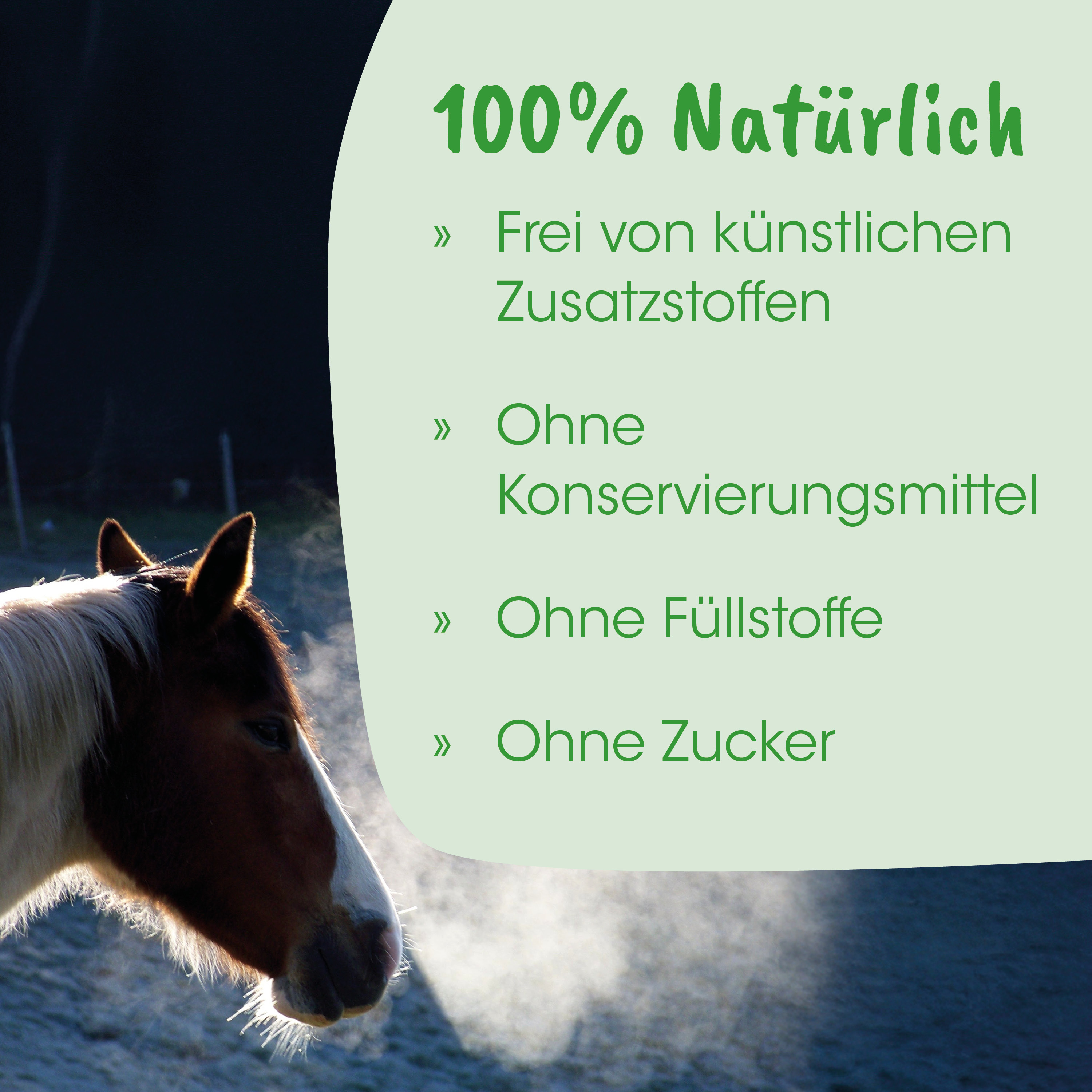 Pferd, Vorneansicht, Braun-weißes Pferd, Tierisches Hautpelz?