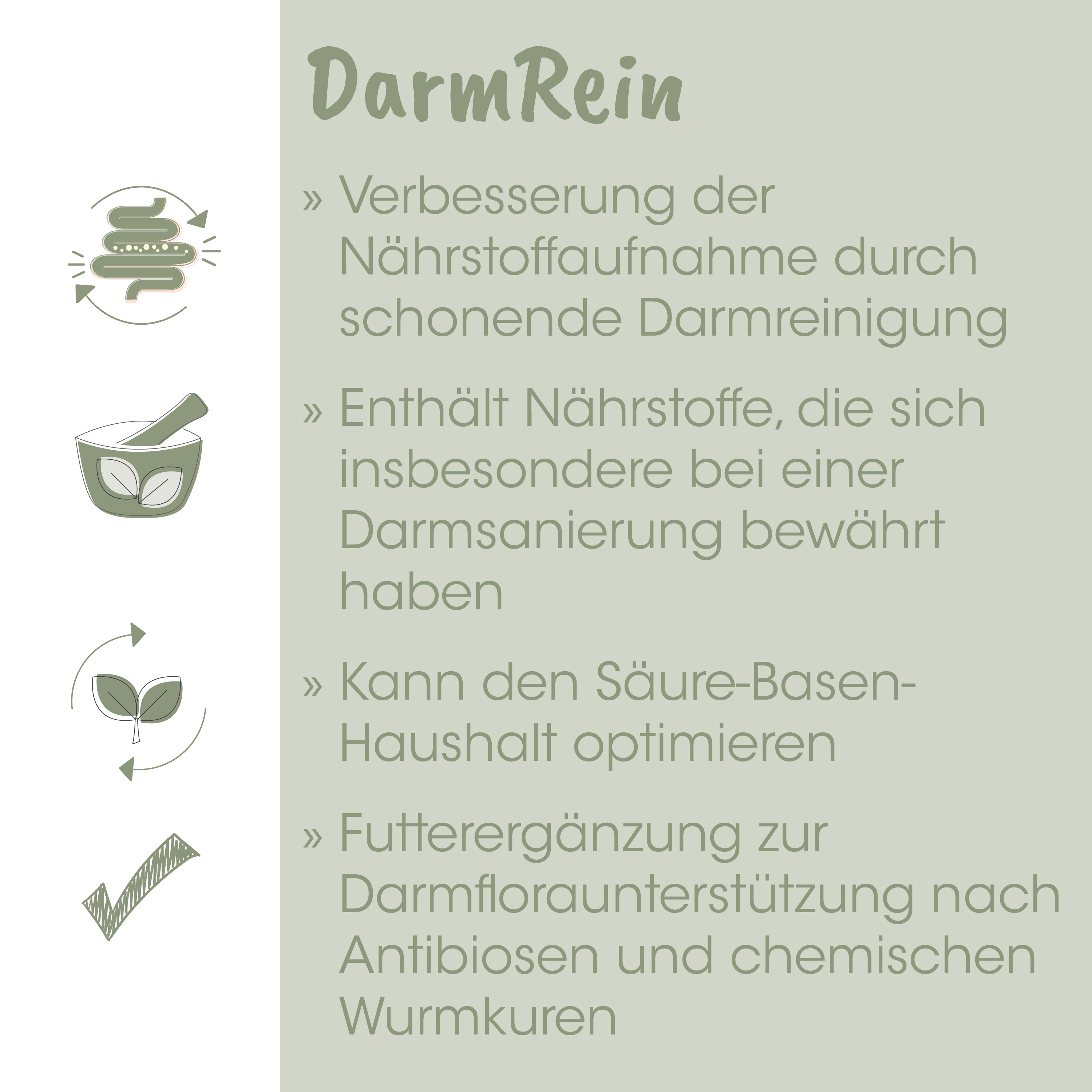  probiotic, darm, rein, nutrient, gesund