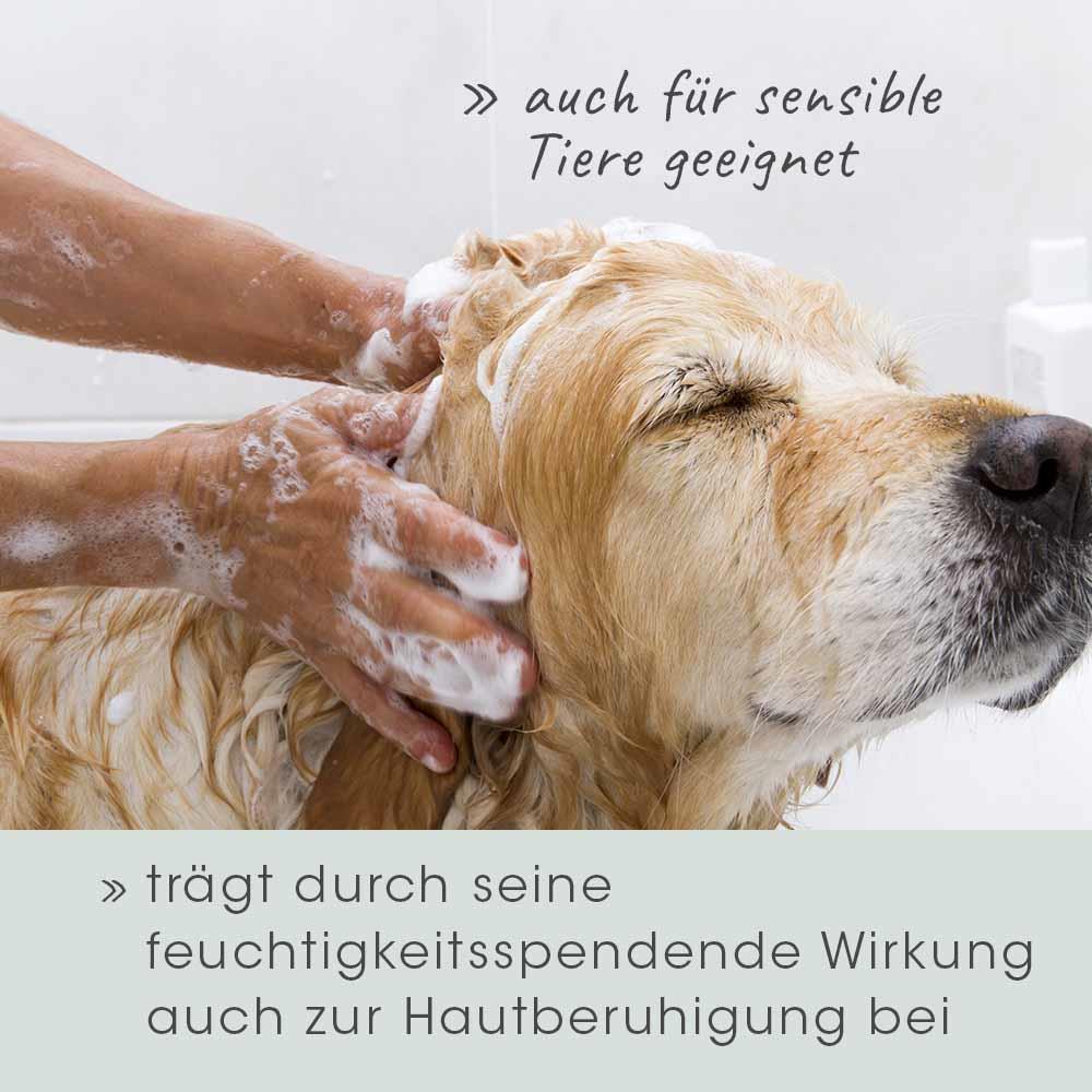 VeaVet Pflegeshampoo 25 ml