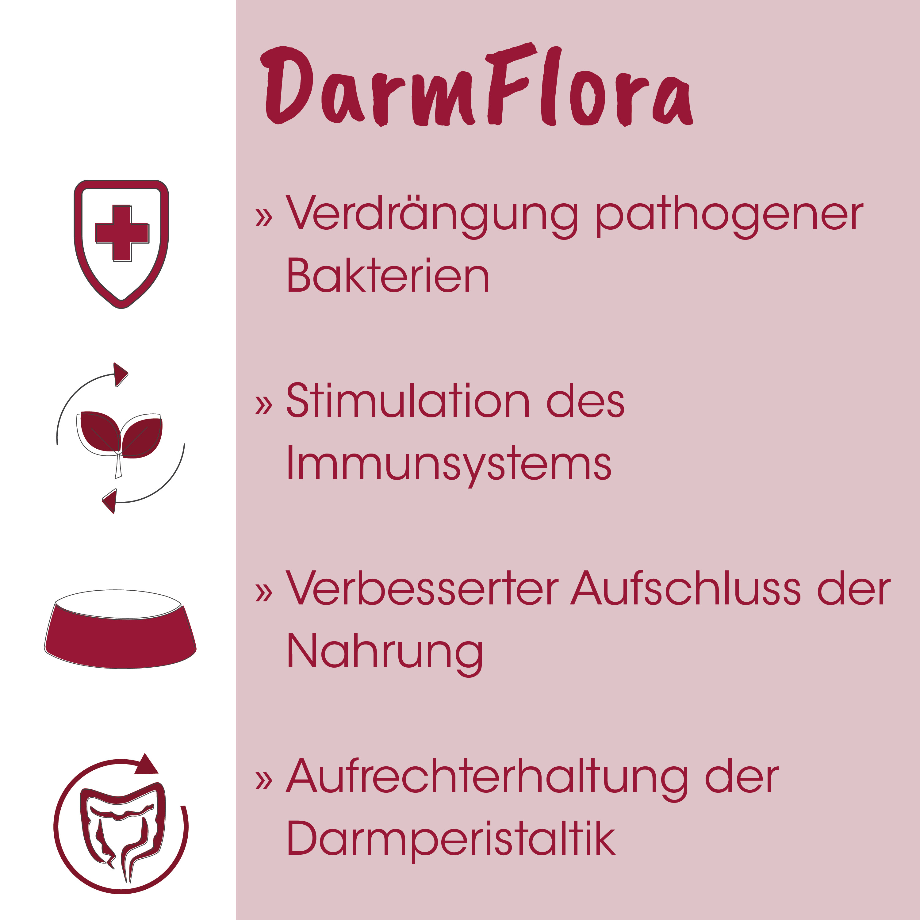 (de) digestiv, (de) Bakterien, (de) Kapsel, (de) Immunität, (de) Gesundheitspräparat
