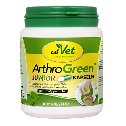 ArthroGreen Junior 100 Kapseln-Sorbe-