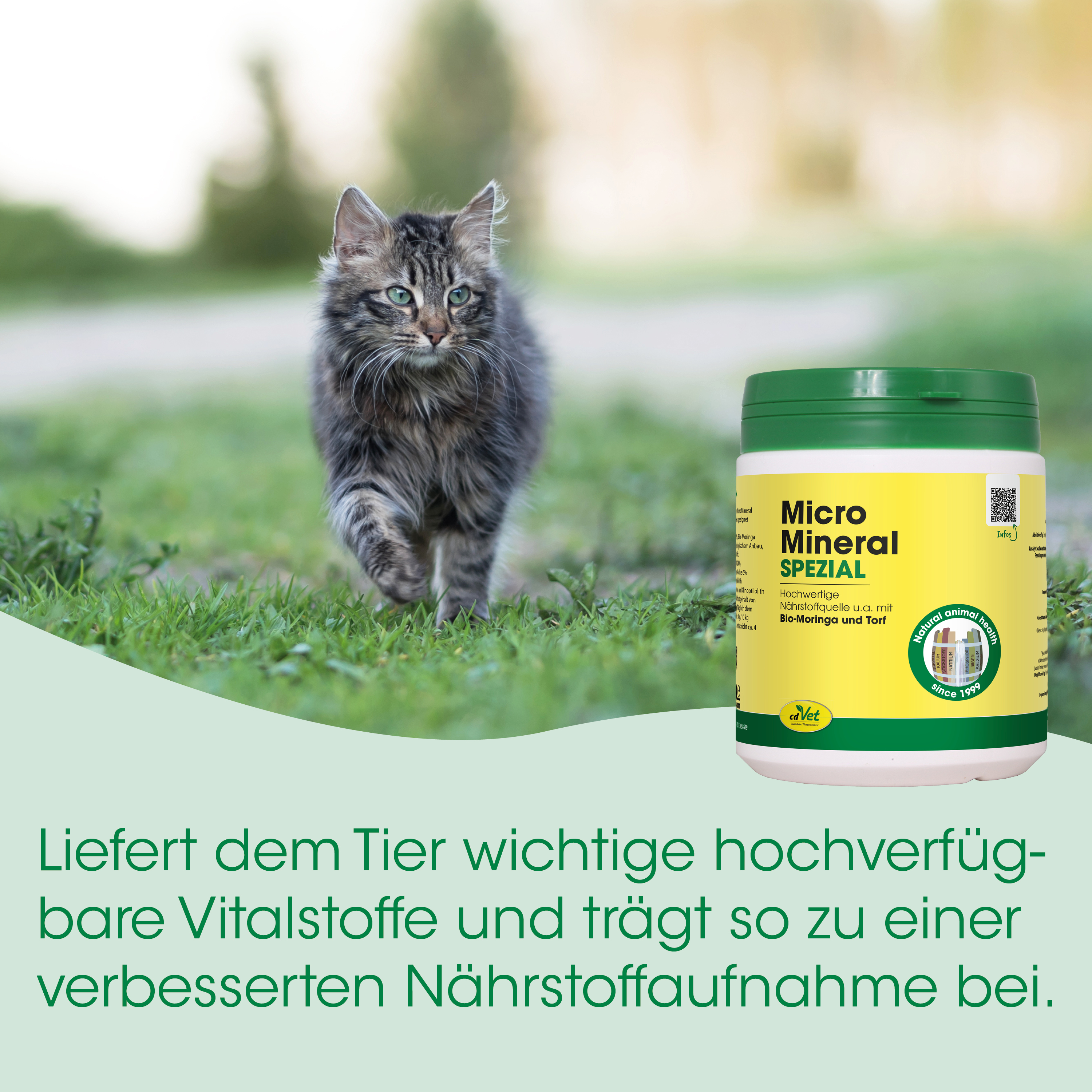 Katze,  Katzennahrung,  Trockenfutter,  Grün,  Dose
