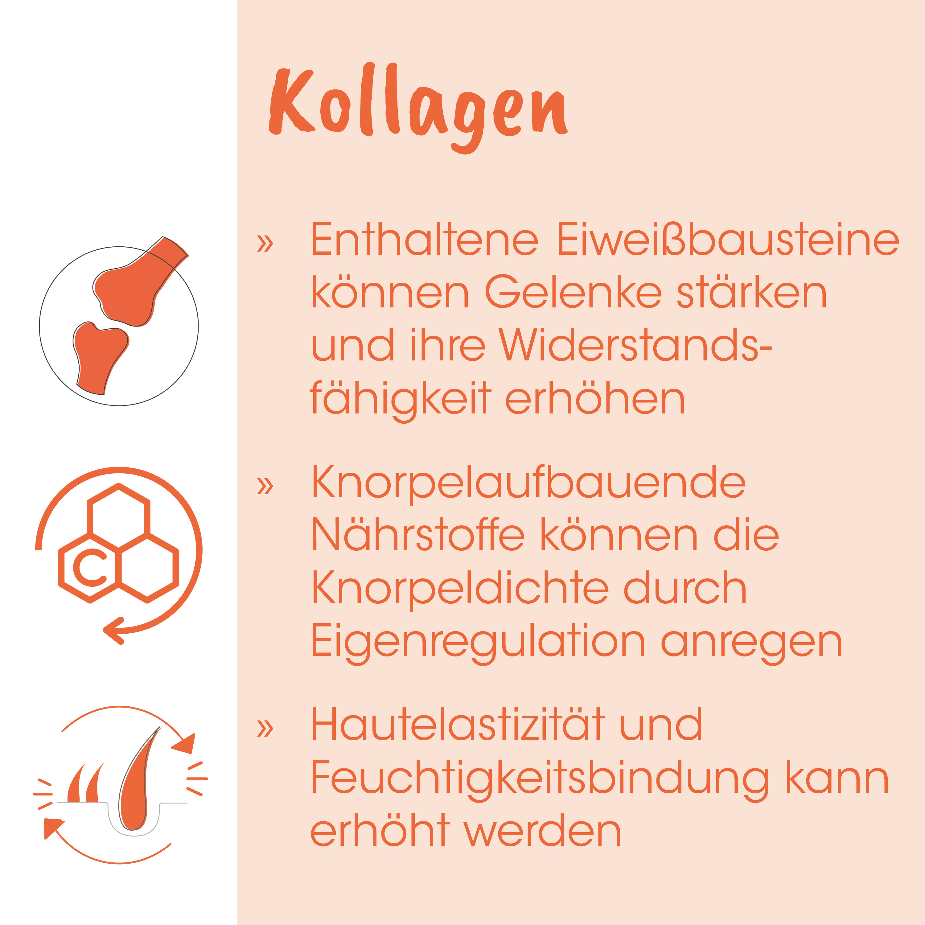 Kollagen, Knochen, Beutel, Cartilage, Nährstoffe