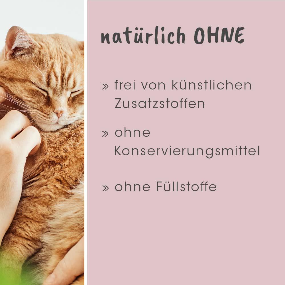 feliTATZ GeruchsStopp 500 ml