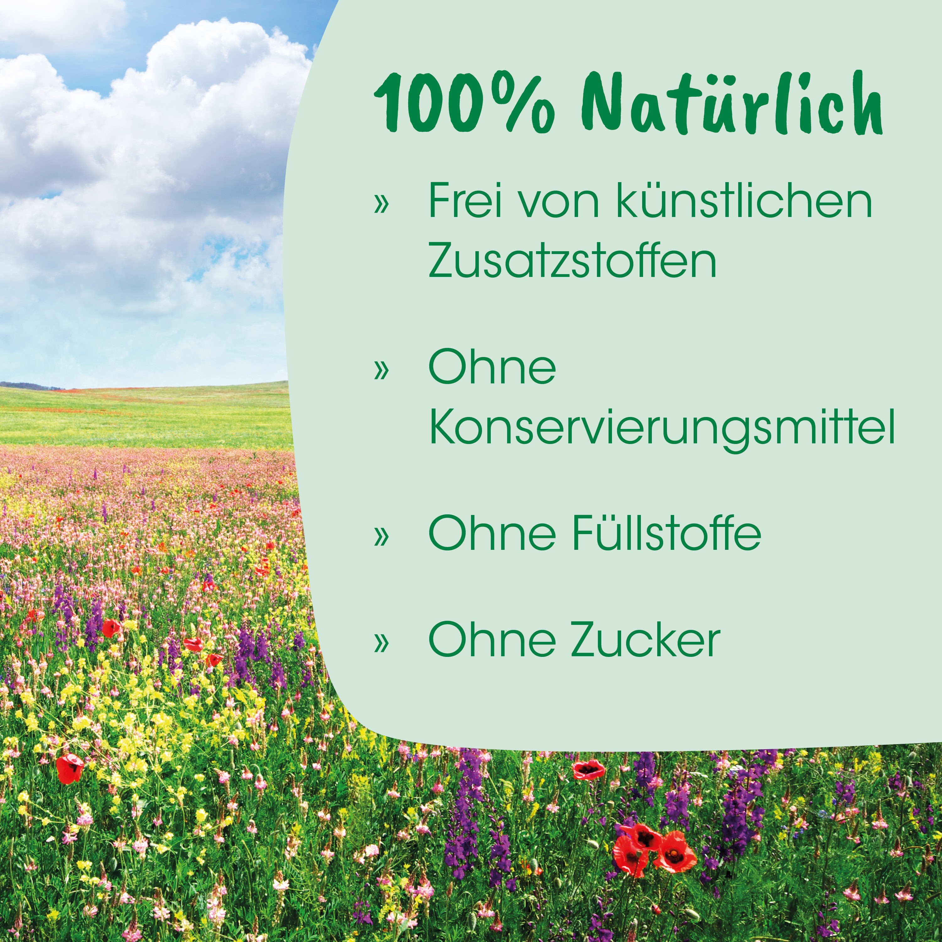 Prairie, Blumenwiese, Feld, Frühlingsfeld, Natur