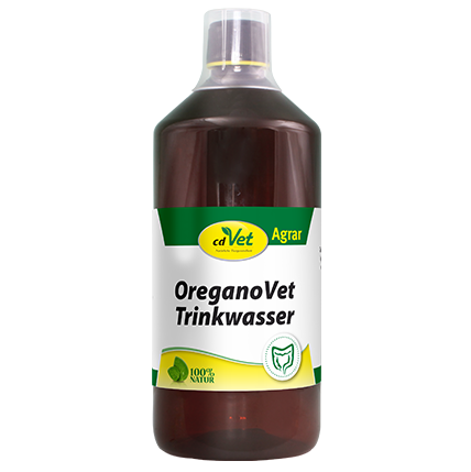 Shopbild Essen, Würzen, Sirup, Flasche, Shaker