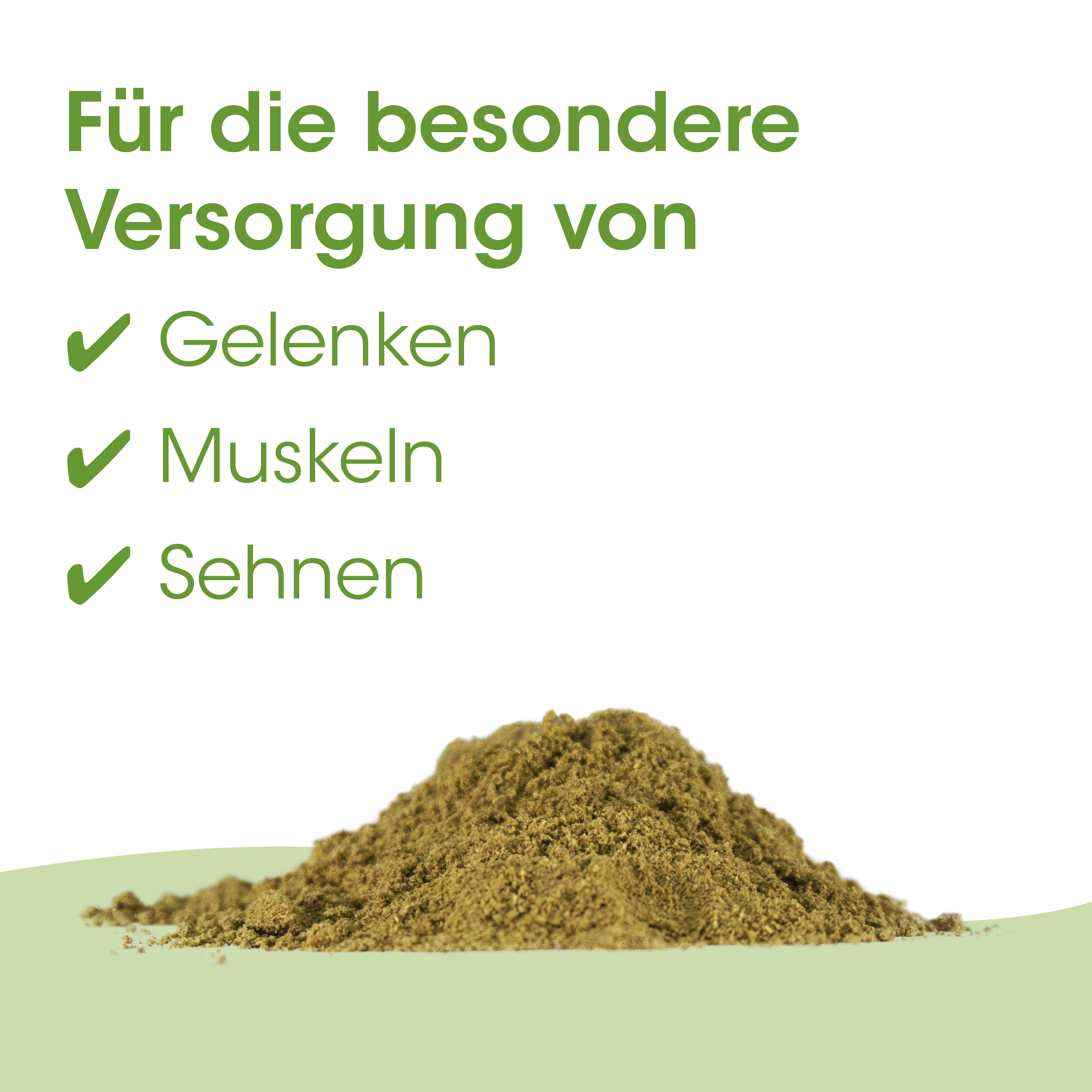 Kohle, Puder, Mahlgrad, Gewürzschnitt, Grünes Pulver