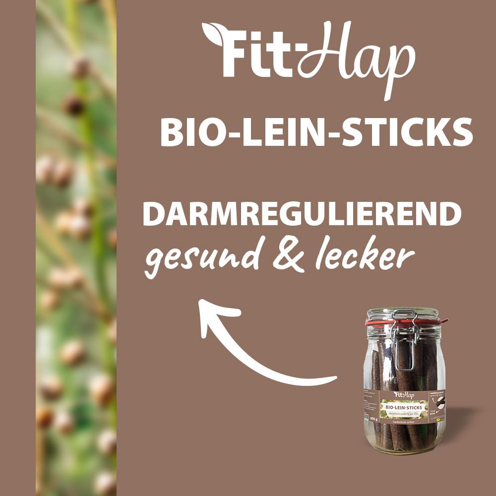 Fit-Hap Bio-Lein-Sticks 600 g