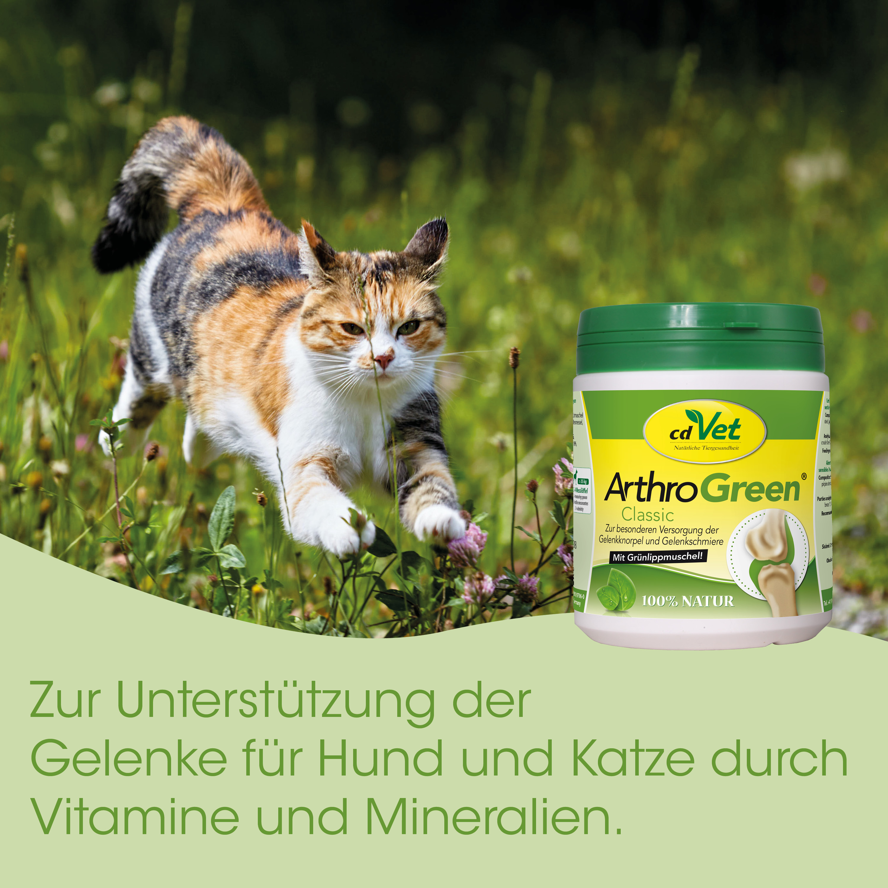 katze, tierfutter, arthrogreen, kapsel, freundlich?