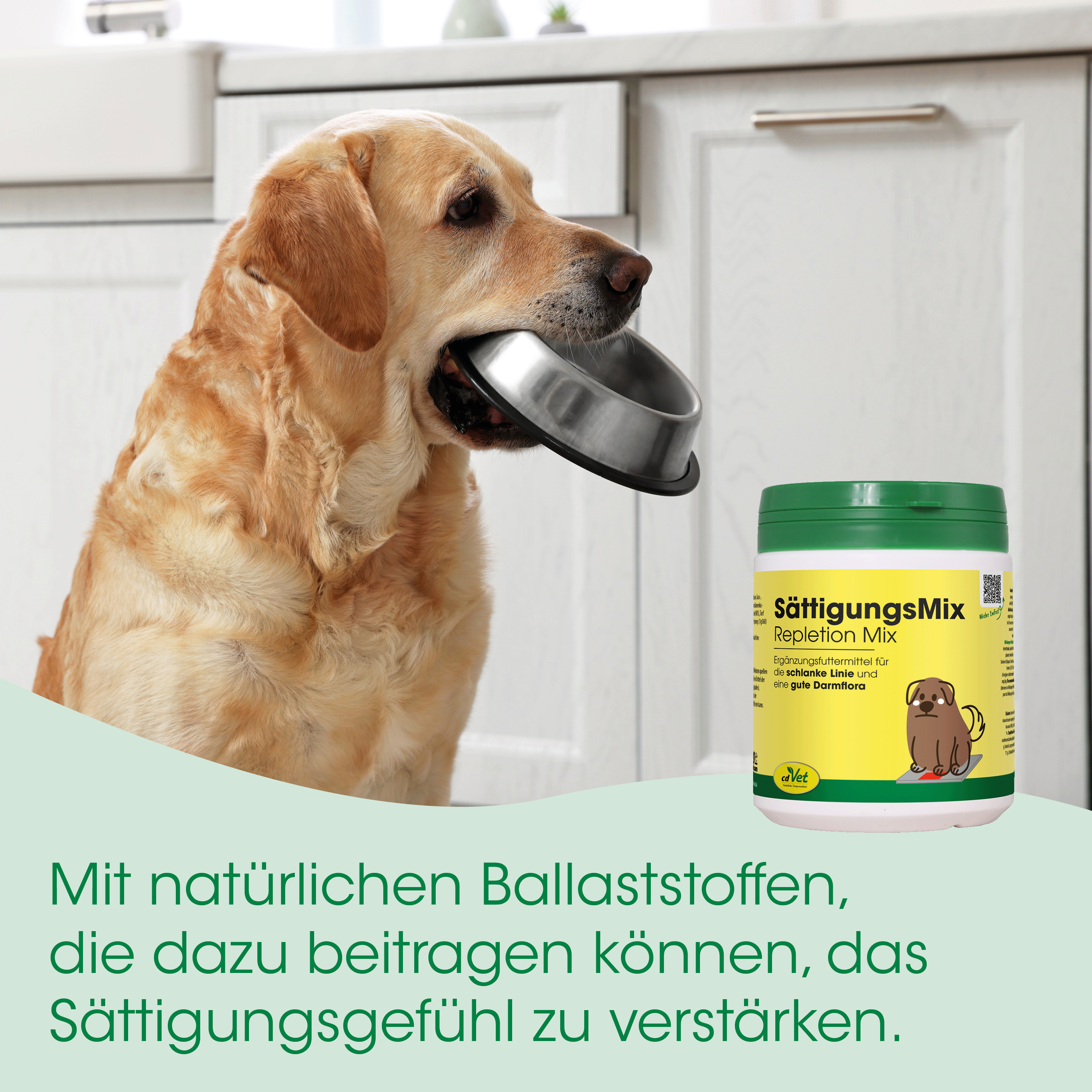 Hund, Tiernahrung, Knochenform, Dosenprodukt, gelbgrüner Behälter