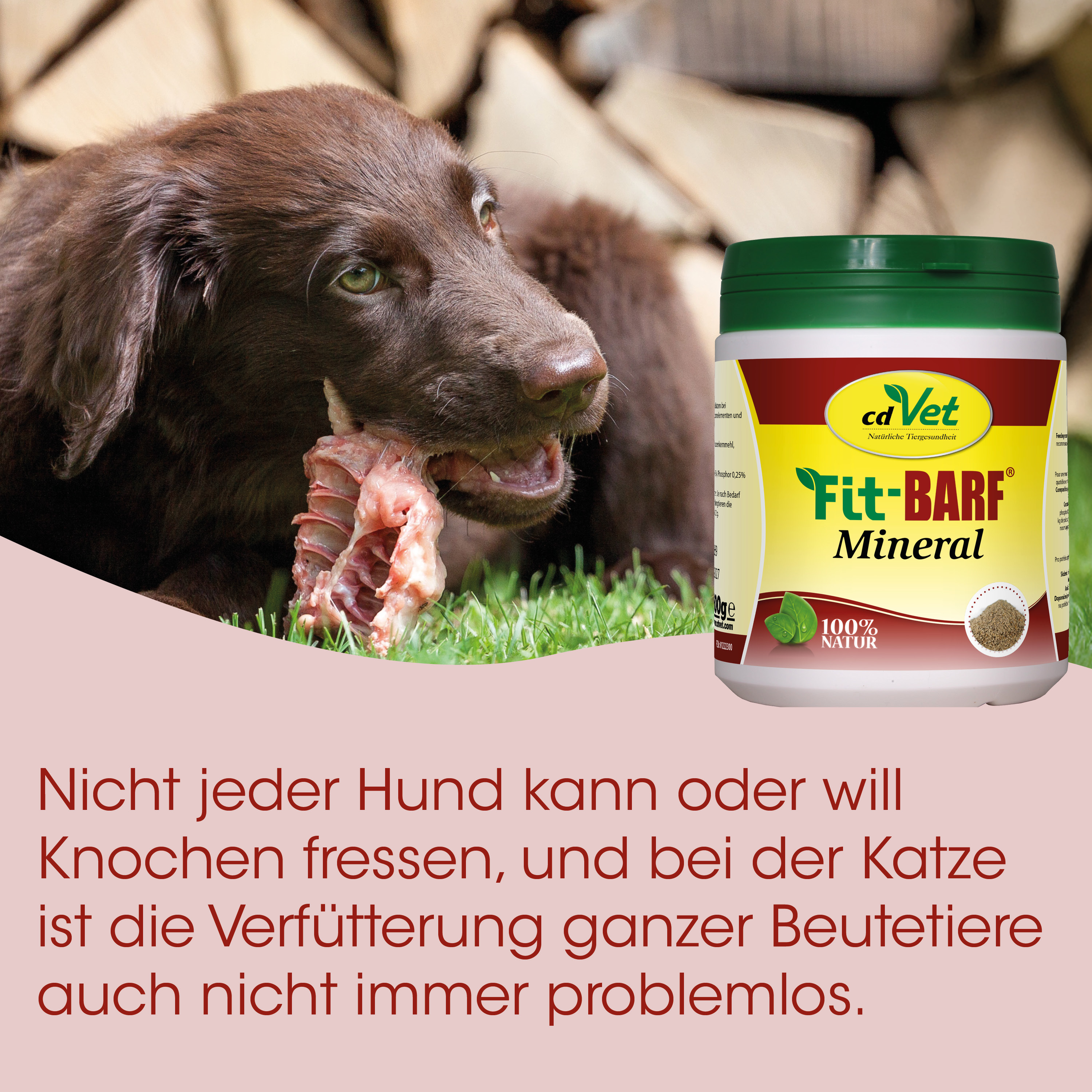 hund kautable, rohes fleischstück, mineralergänzung, haustierfutter, knochensnack