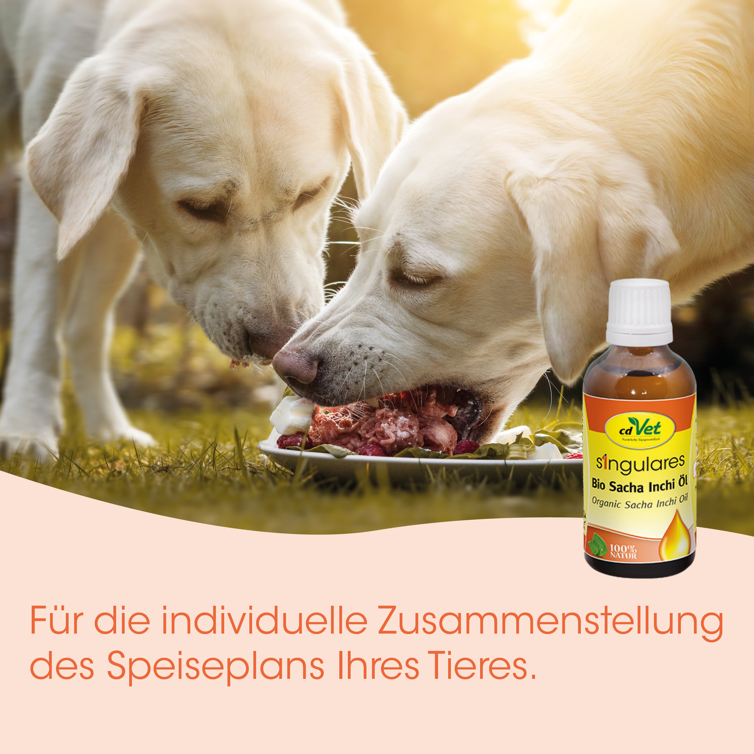 Hund, Hundefutter, rohes Fleisch, Knochenmehl, Sachet Öl-Flasche