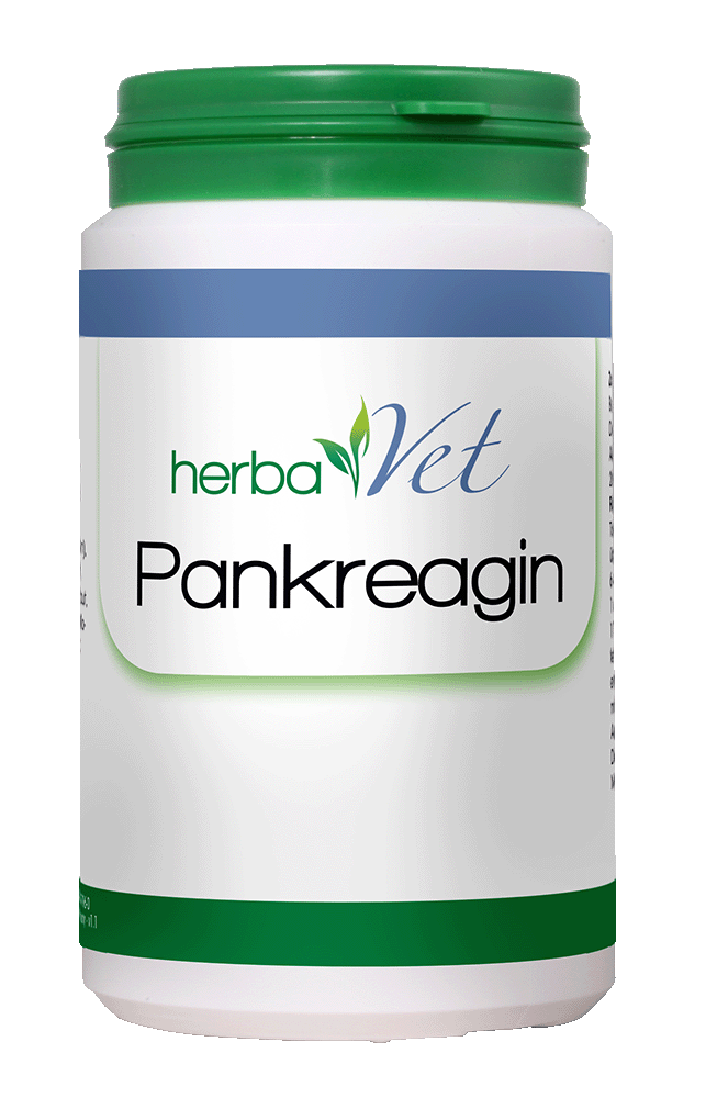 Pankreagin, Pankreagin Ergänzung, Tiergesundheitsprodukt, Tier Gesundheitsprodukt, Vet Produkt