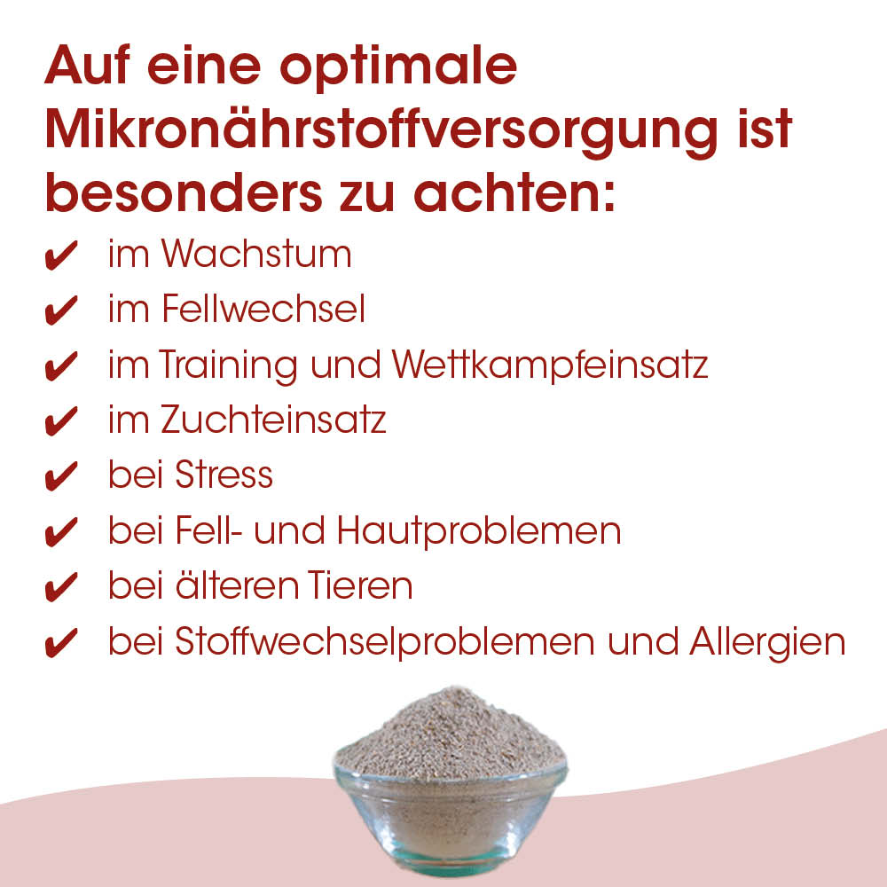 Mikronährstoff, Nahrungsergänzung, Pulver, Nahrungsergänzungsmittel, Haustierpflege