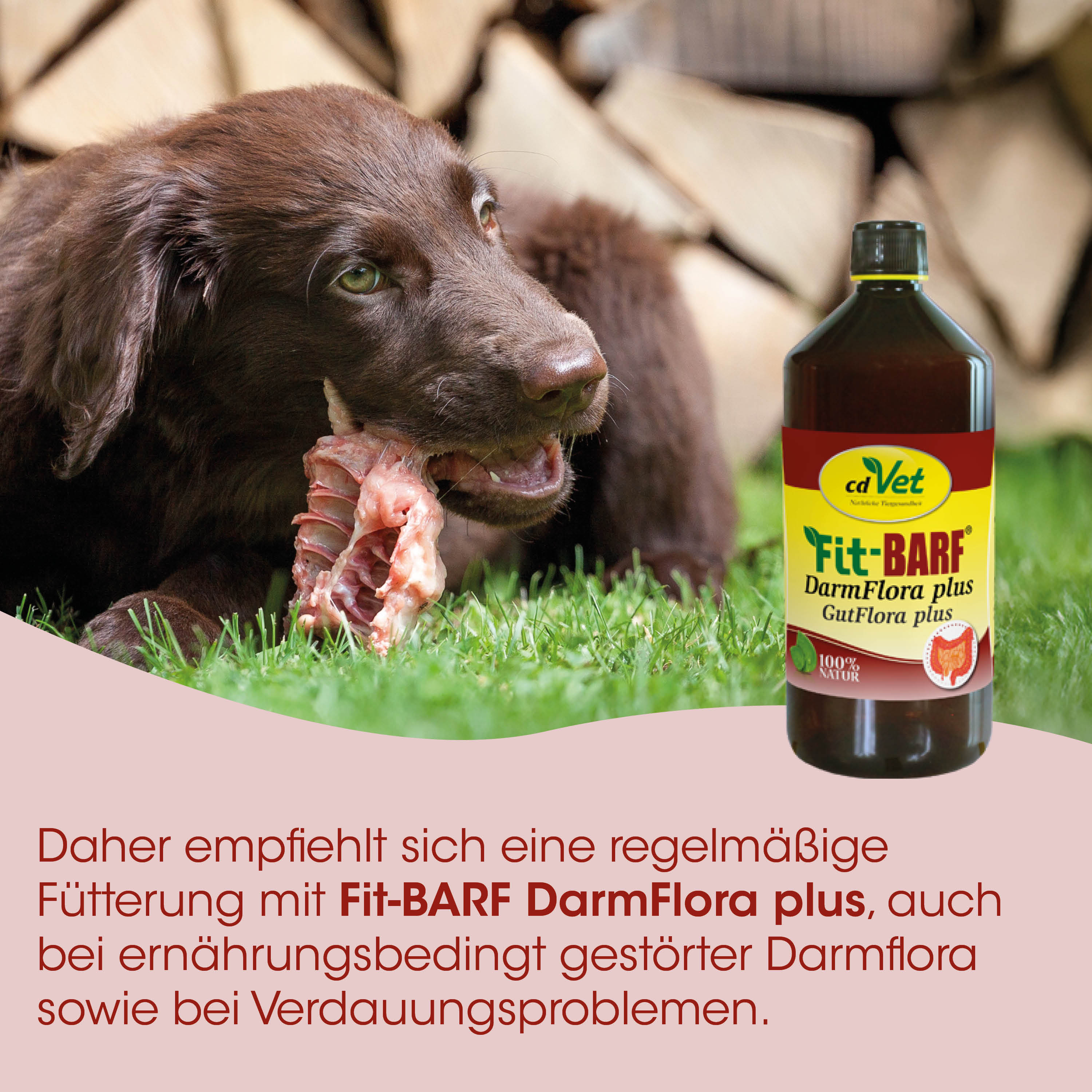 Hund, Futter, Darmflora, Knochenfleisch, Flasche