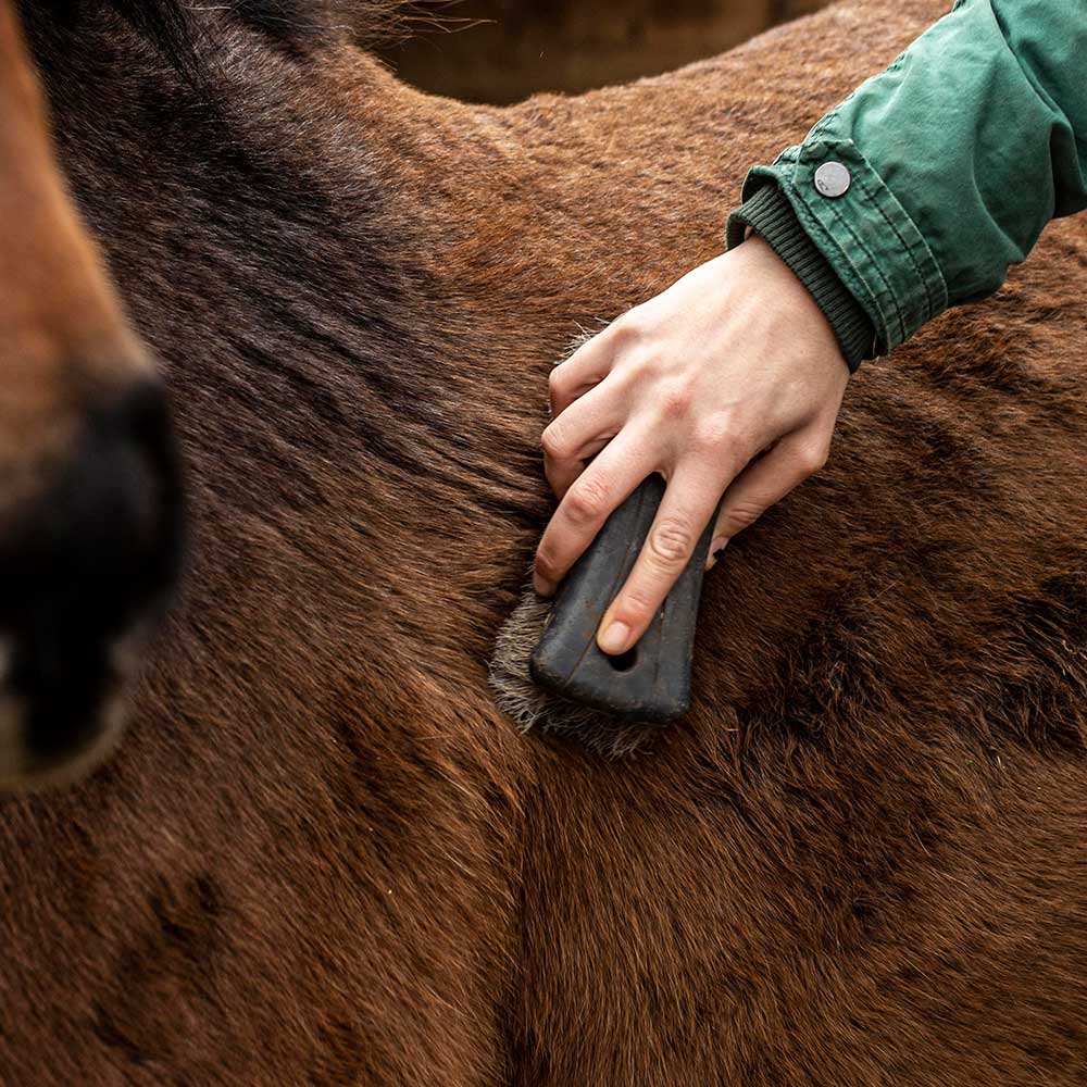 fellwechsel fellwechsel