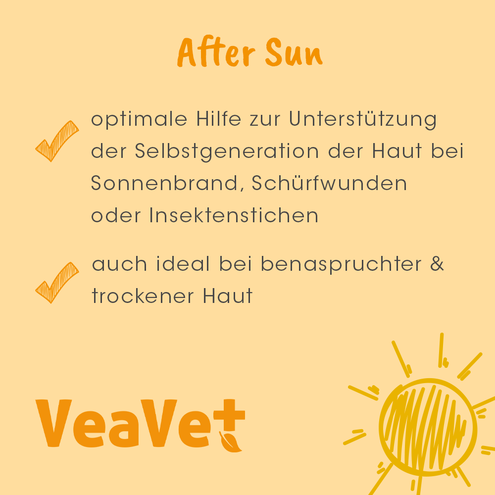 Seite, Text, Werbung, Plakat