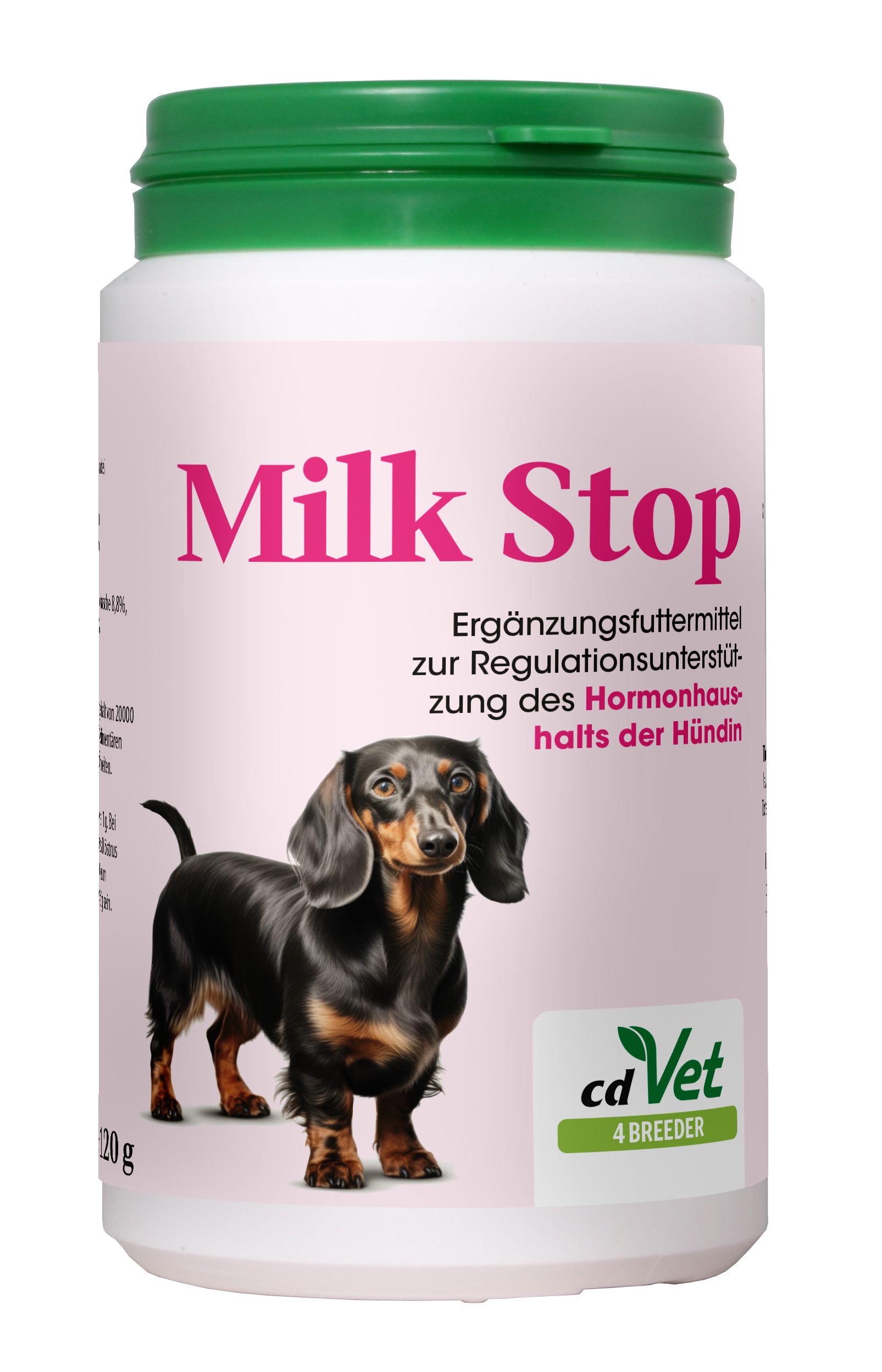 Kräuterig, Kräuter, Pflanze, Hund, Haustier