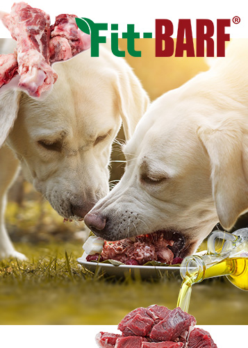 Fit-BARF KAT Neu 2 Tier, Hund, Säugetier, Haustier