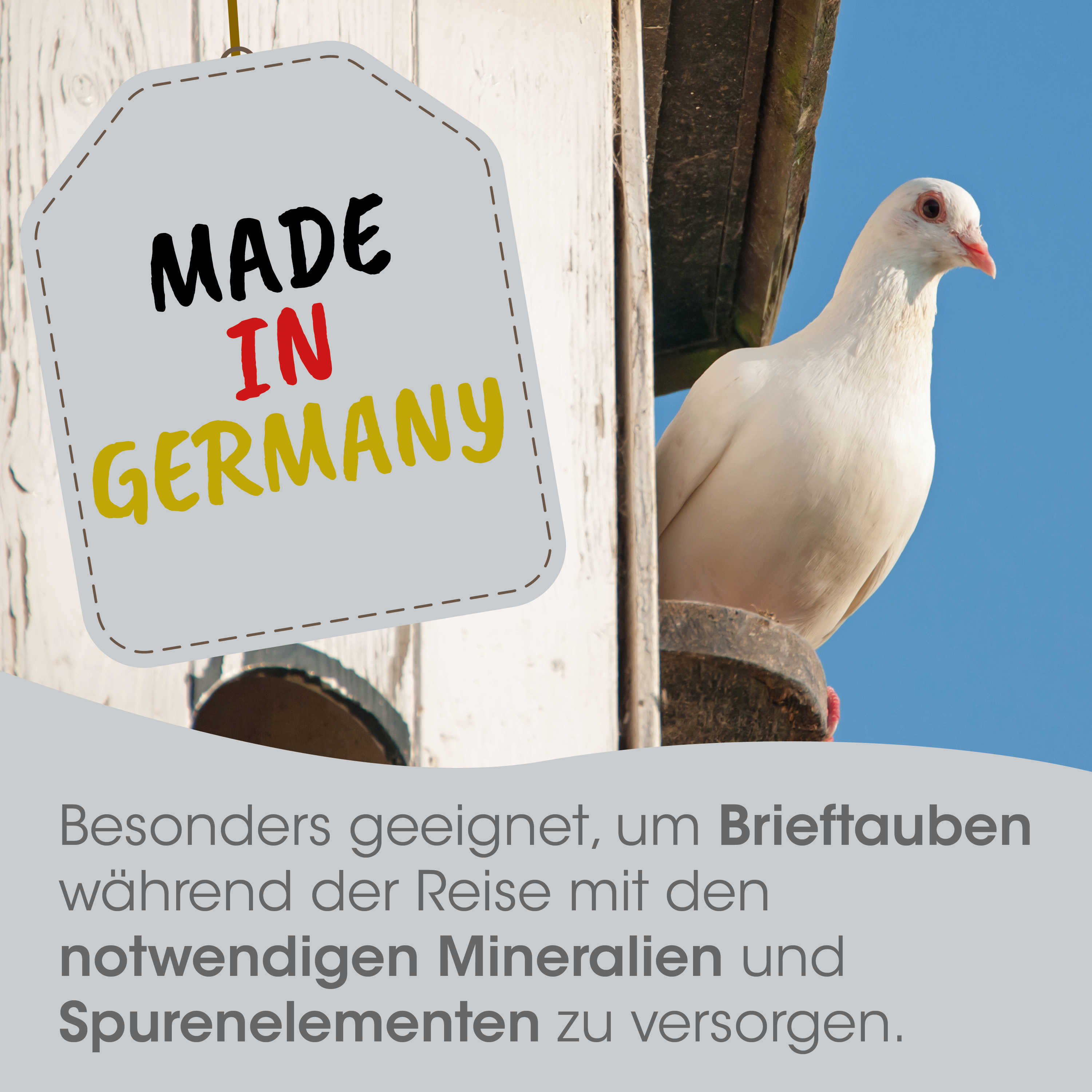 weiß, Taube, Vogel, Briefmarken, Made in Germany