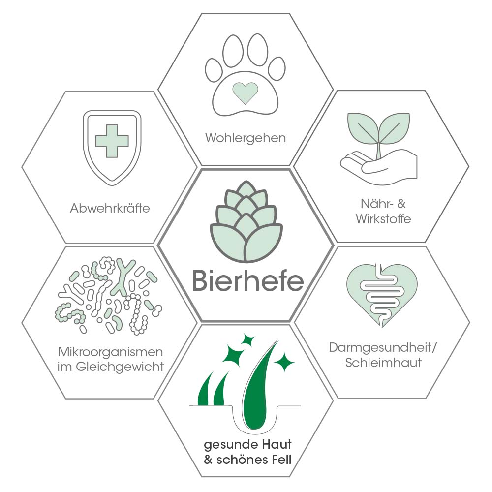 Fell & Haut Vital Hund & Katze 3 kg